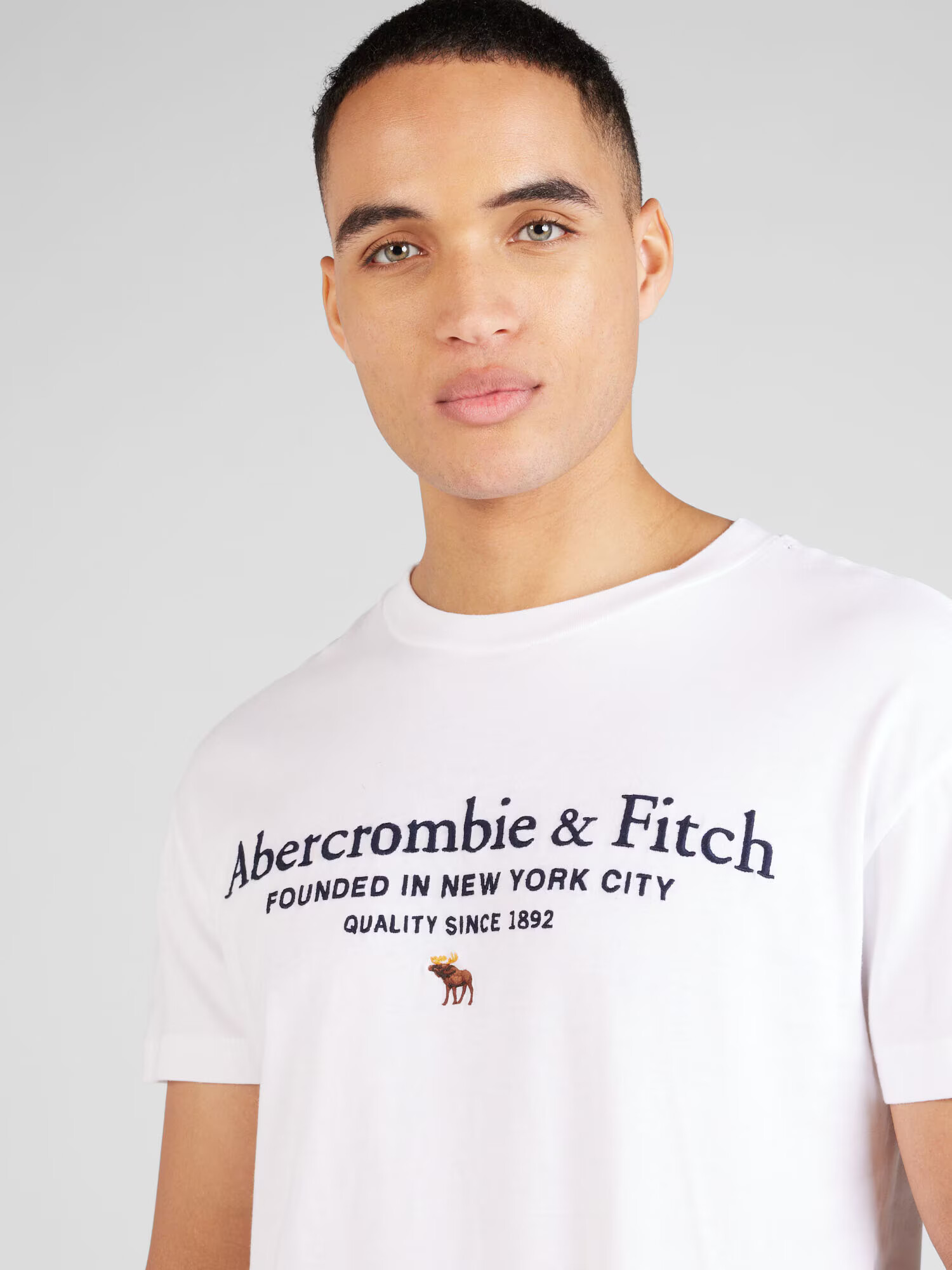 Abercrombie & Fitch Tricou albastru închis / maro / galben auriu / alb - Pled.ro