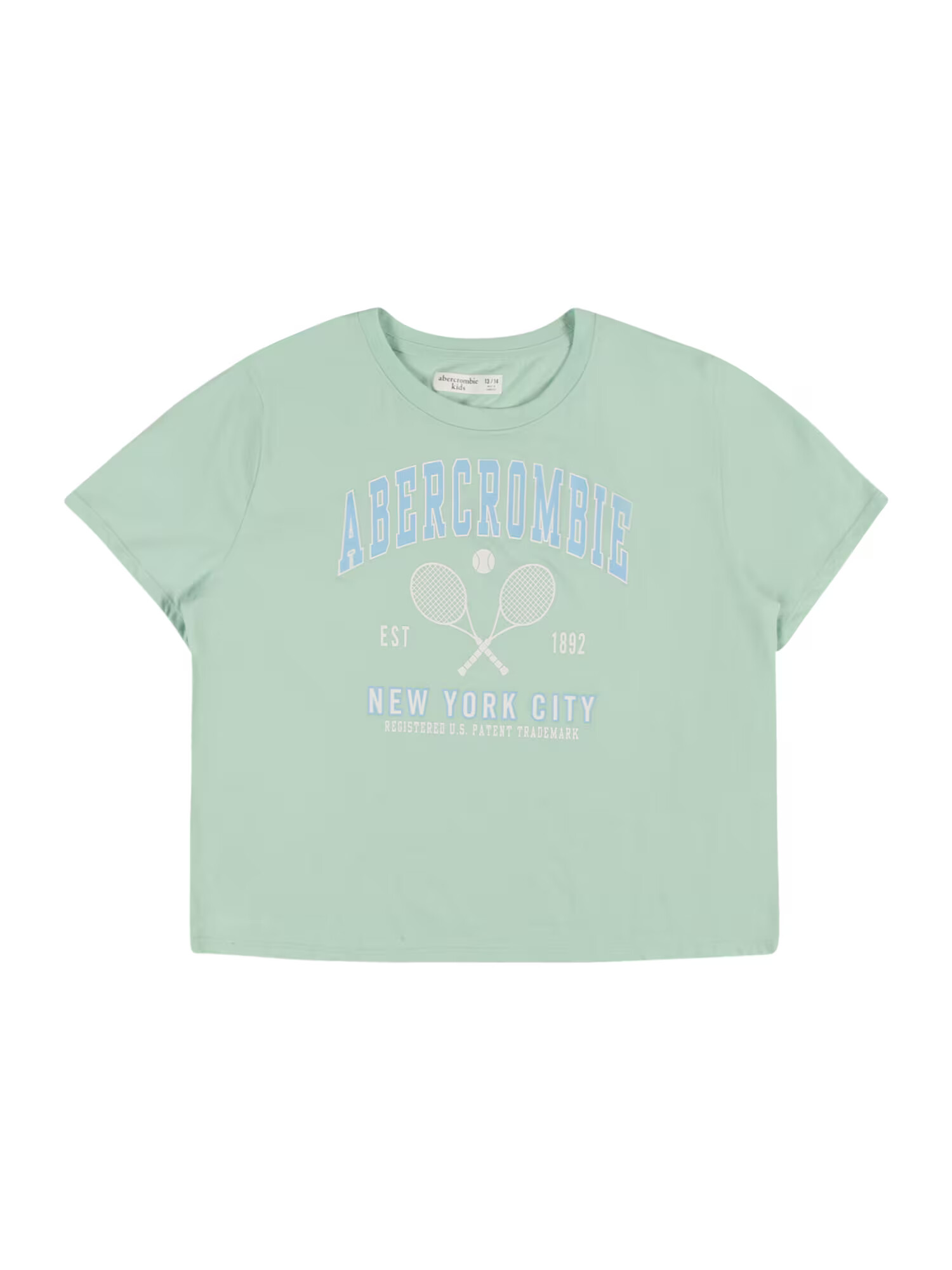 Abercrombie & Fitch Tricou 'READY FOR PLAY' albastru deschis / verde pastel / alb - Pled.ro