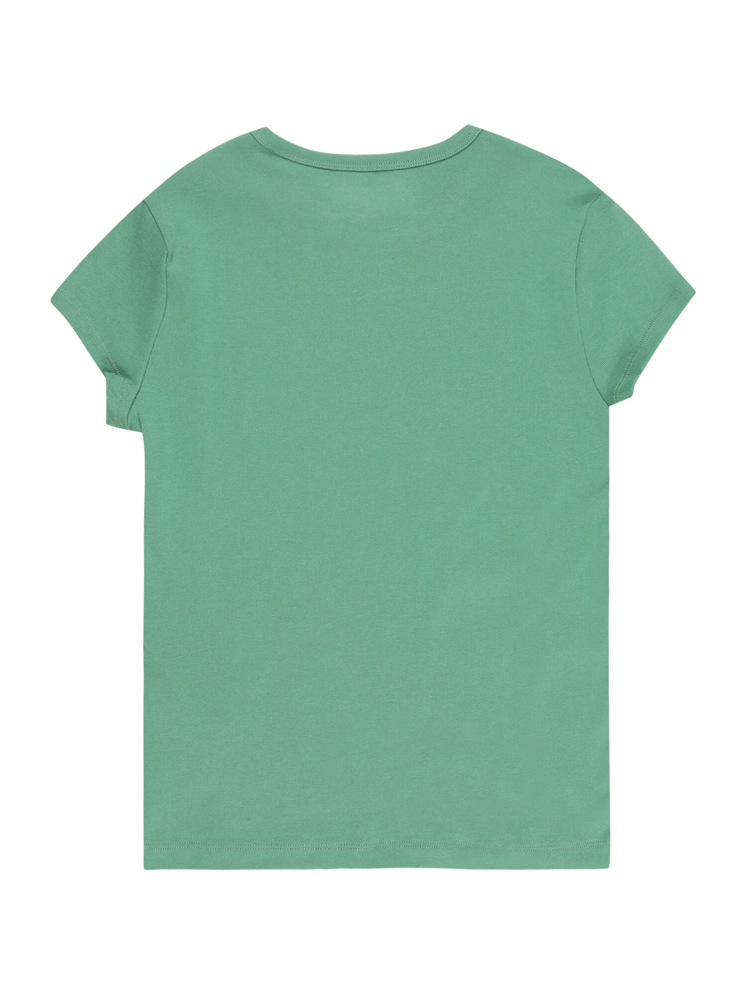 Abercrombie & Fitch Tricou verde - Pled.ro