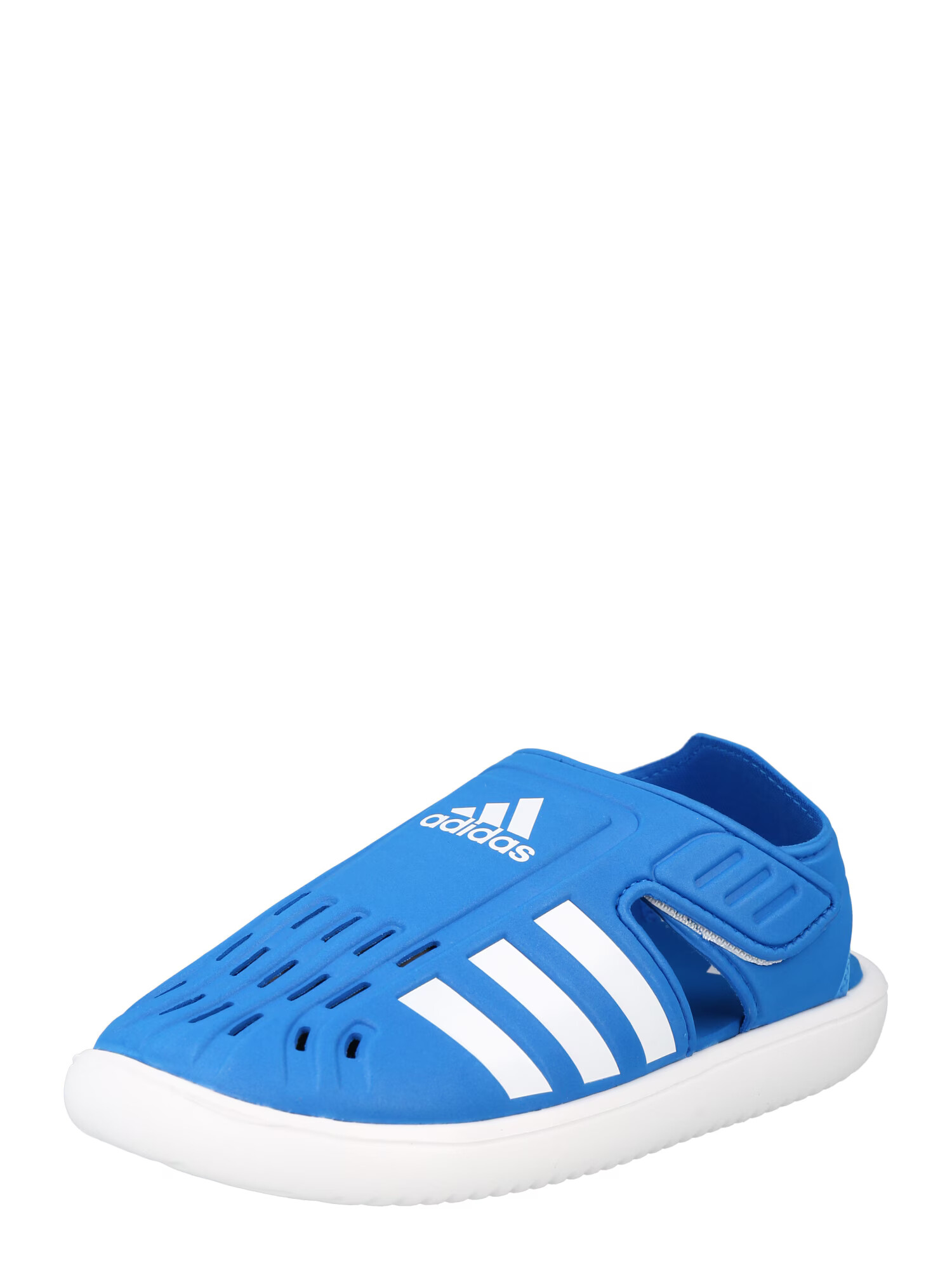 ADIDAS SPORTSWEAR Flip-flops albastru / alb - Pled.ro