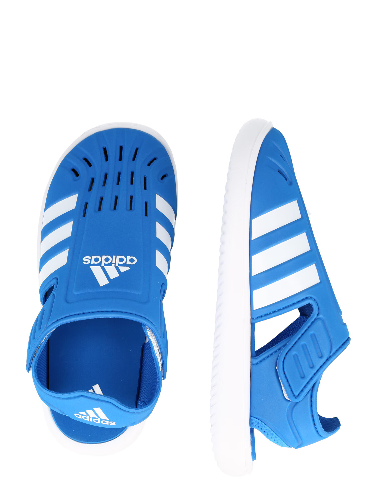 ADIDAS SPORTSWEAR Flip-flops albastru / alb - Pled.ro