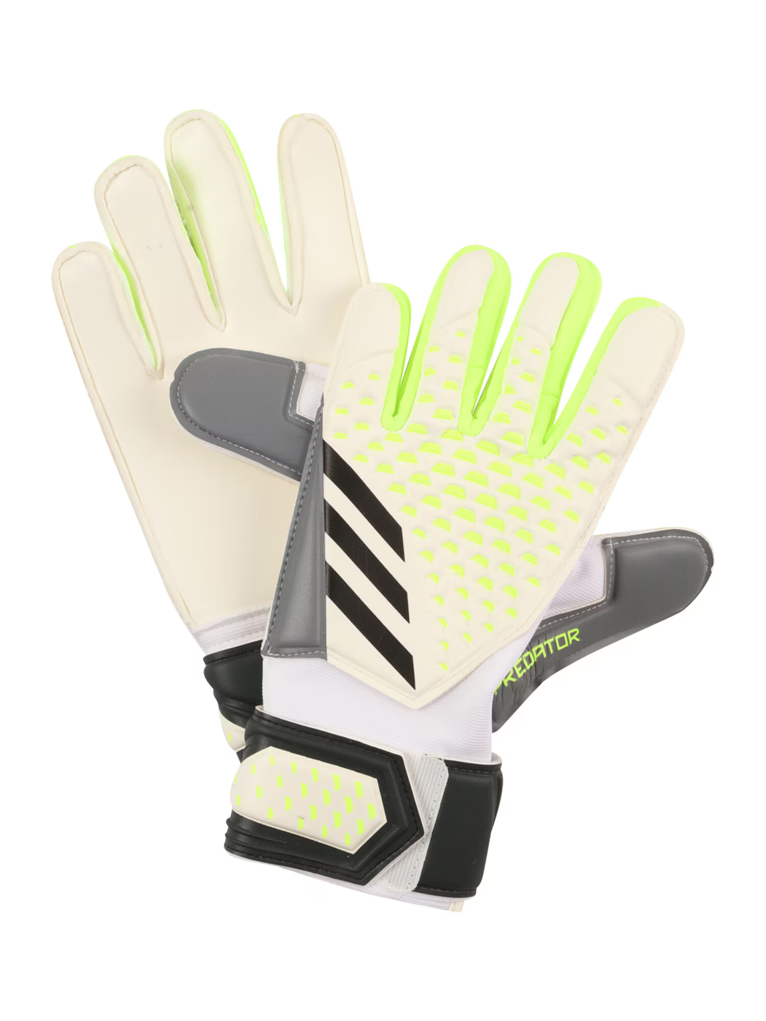 ADIDAS PERFORMANCE Mănuși sport 'Predator Match Goalkeeper' crem / gri / verde limetă / negru / alb - Pled.ro