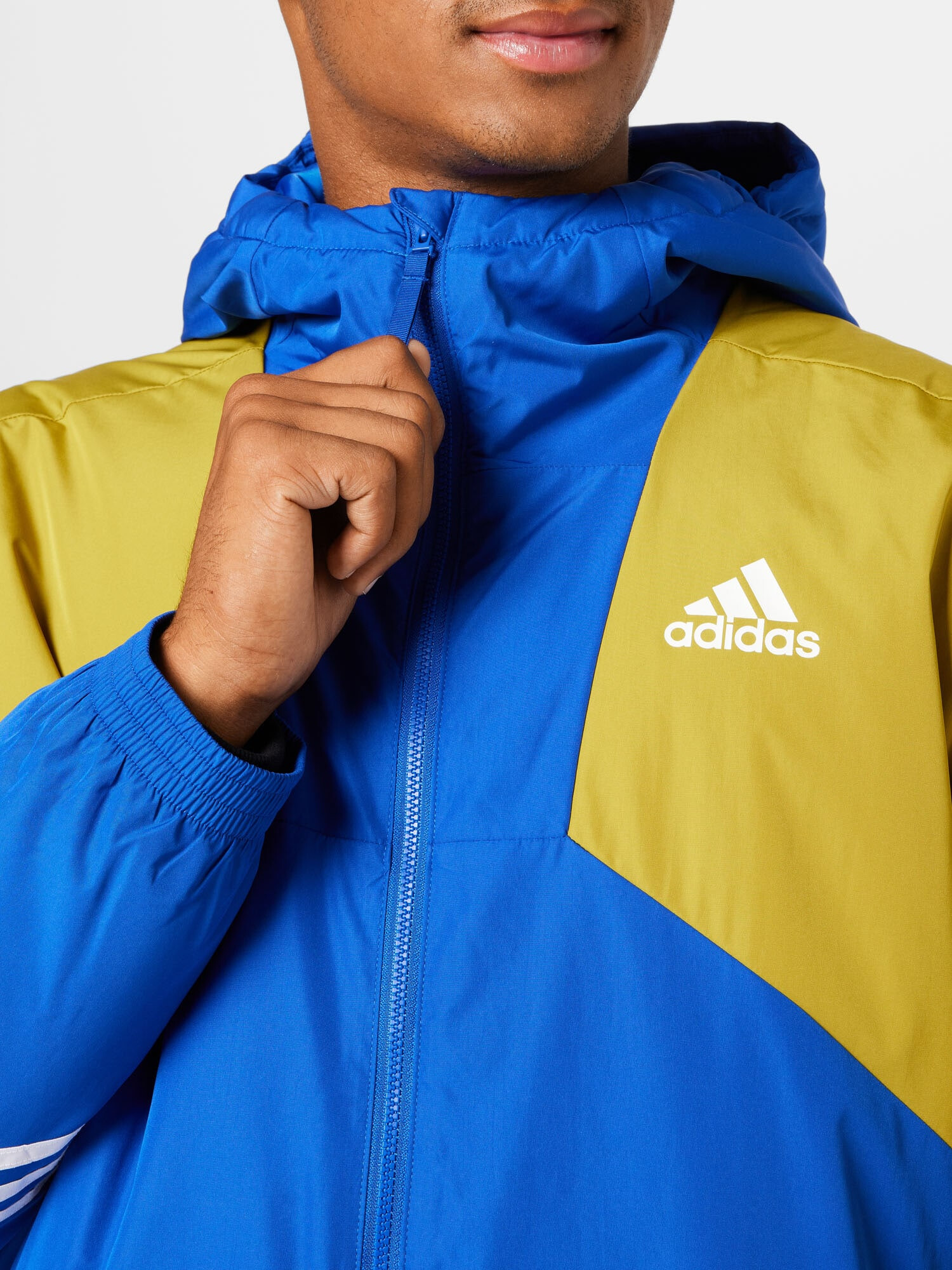 ADIDAS SPORTSWEAR Geacă outdoor 'Back To ' albastru / galben curry / alb - Pled.ro