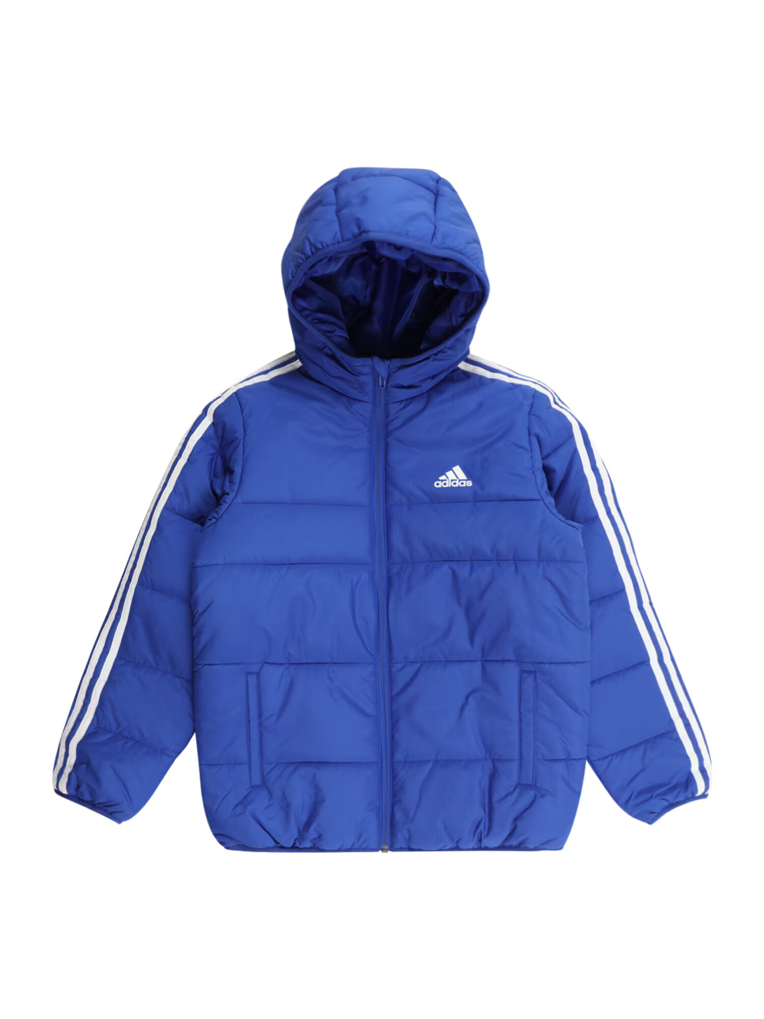 ADIDAS SPORTSWEAR Geacă outdoor albastru regal / alb - Pled.ro