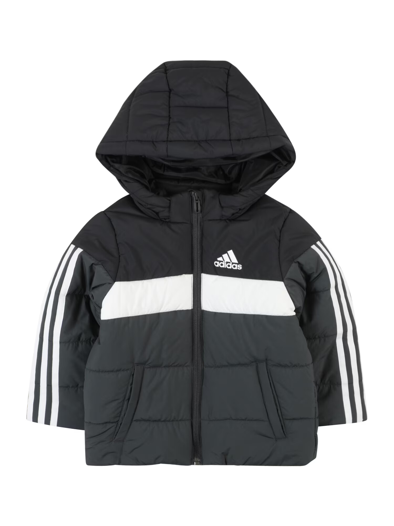 ADIDAS SPORTSWEAR Geacă sport 'Padded' gri închis / negru / alb murdar - Pled.ro