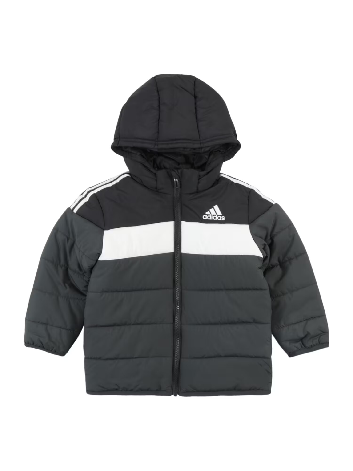 ADIDAS SPORTSWEAR Geacă sport 'Padded' gri metalic / negru / alb - Pled.ro