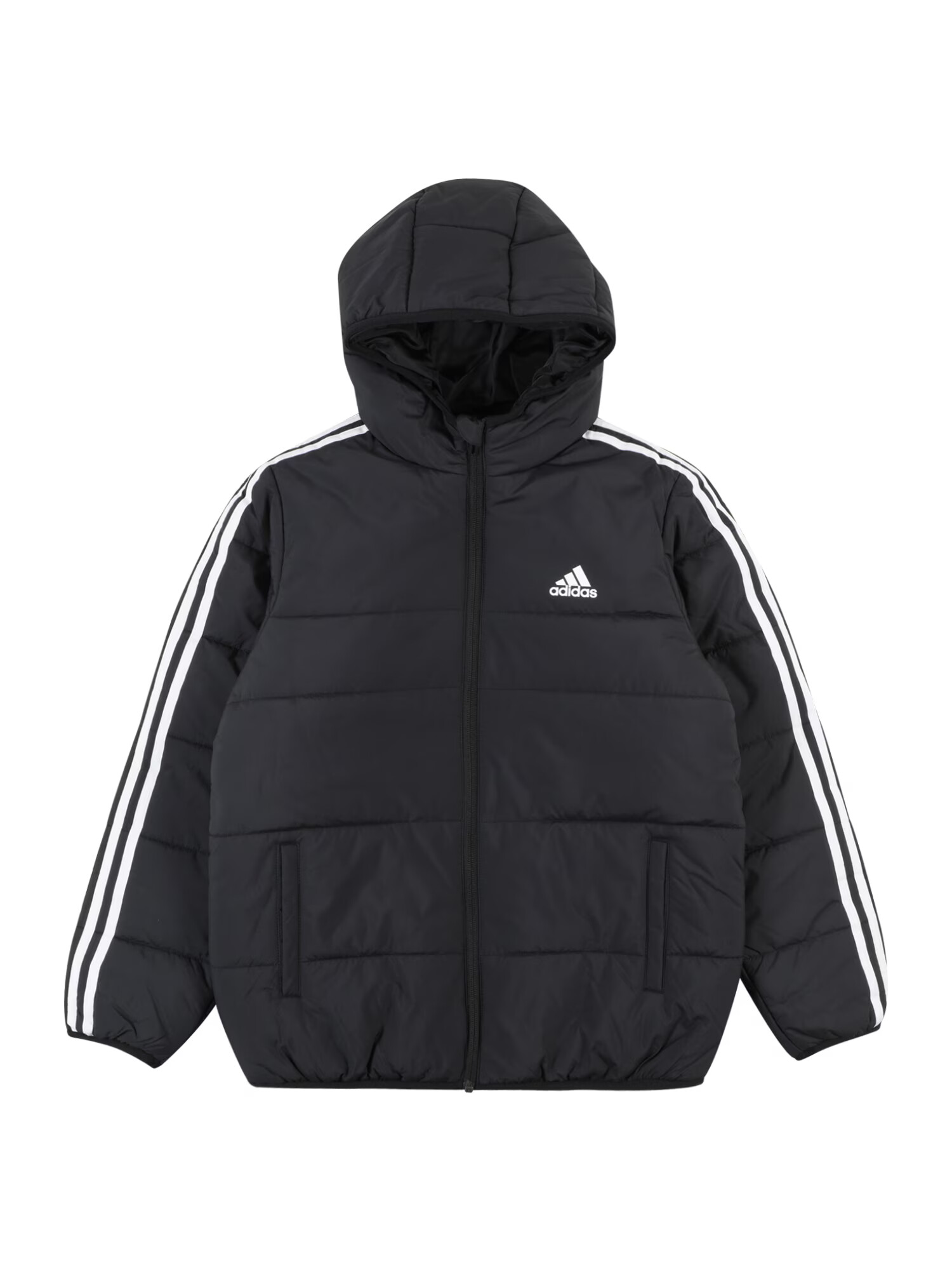 ADIDAS SPORTSWEAR Geacă outdoor negru / alb - Pled.ro