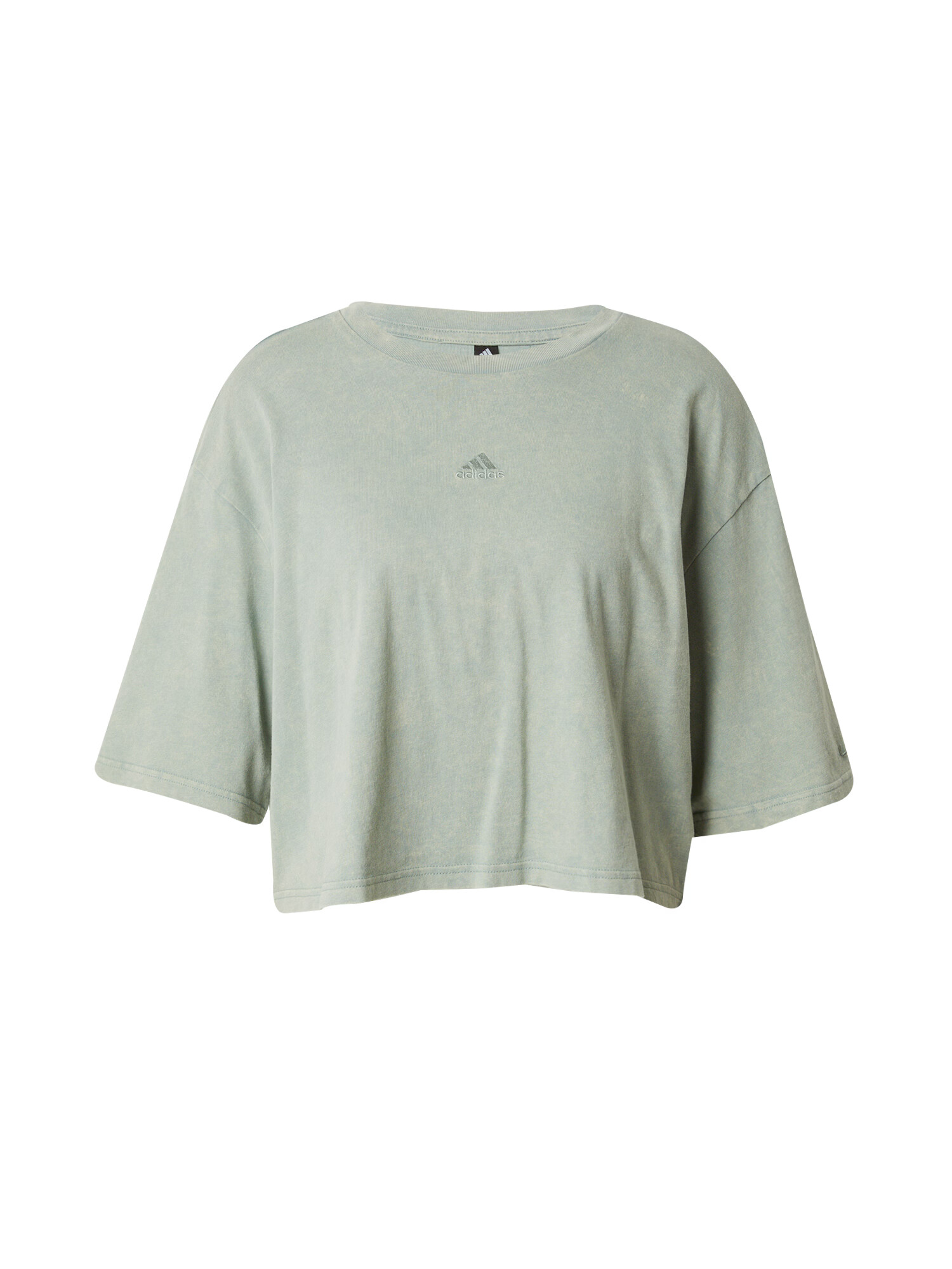 ADIDAS SPORTSWEAR Tricou funcțional 'ALL SZN' verde pastel - Pled.ro