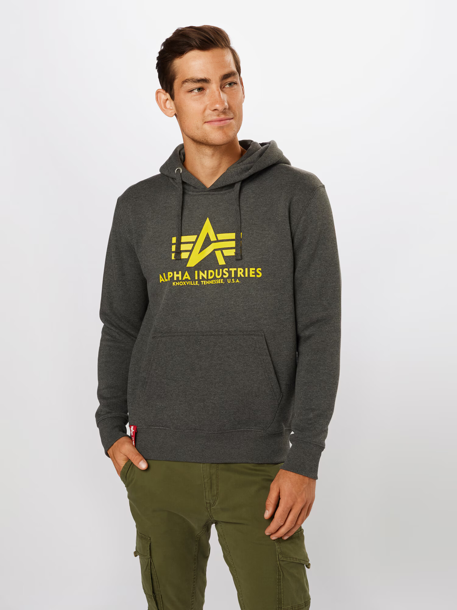 ALPHA INDUSTRIES Bluză de molton 'Basic Hoody' galben / gri grafit - Pled.ro