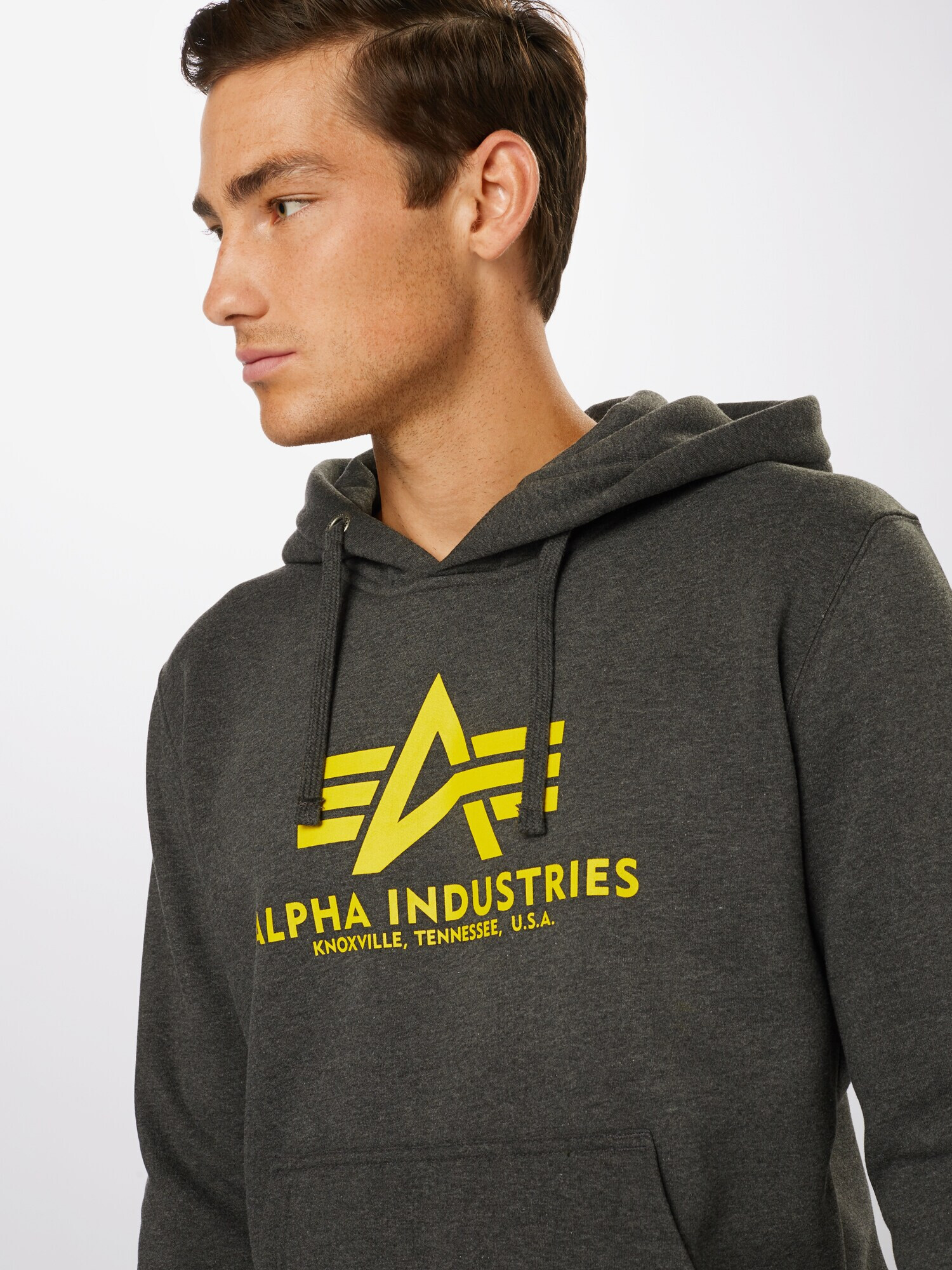 ALPHA INDUSTRIES Bluză de molton 'Basic Hoody' galben / gri grafit - Pled.ro