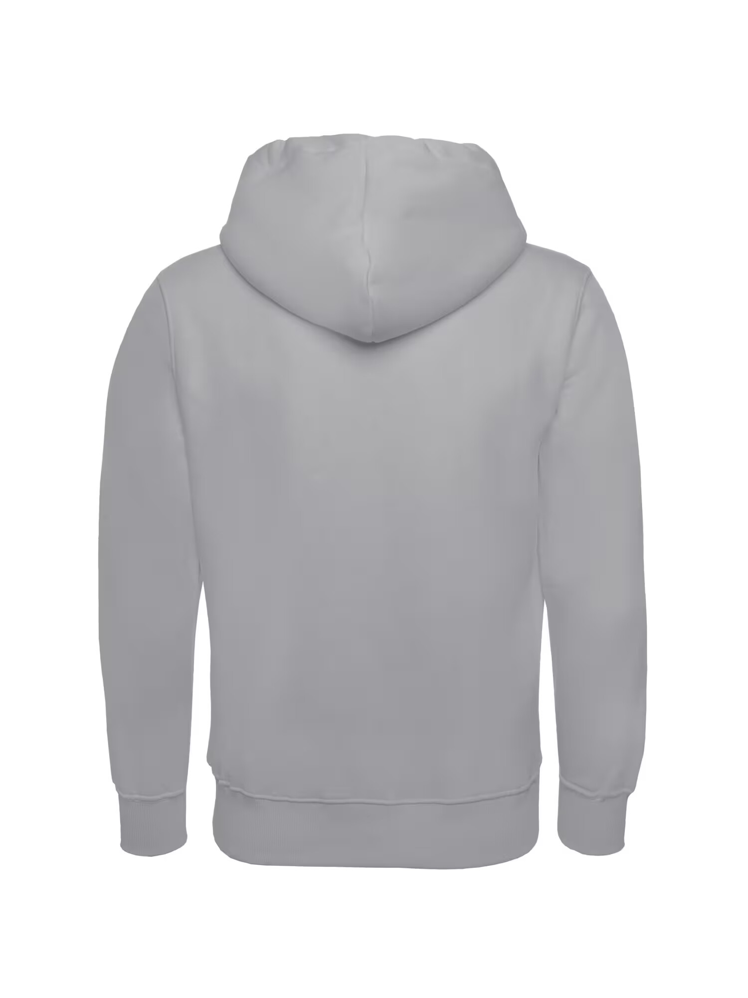 ALPHA INDUSTRIES Bluză de molton gri / gri metalic - Pled.ro