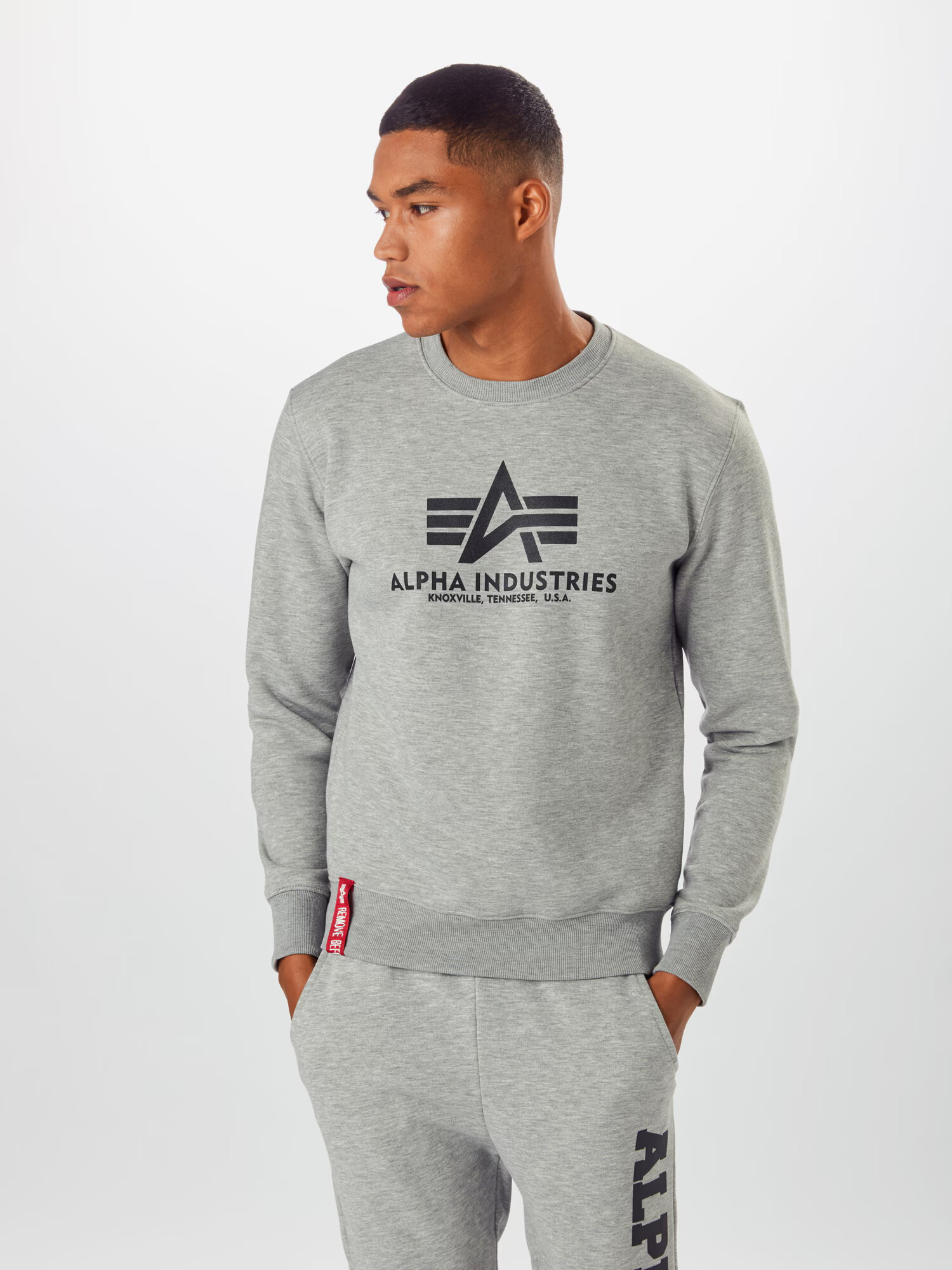 ALPHA INDUSTRIES Bluză de molton gri metalic / gri deschis / roșu - Pled.ro