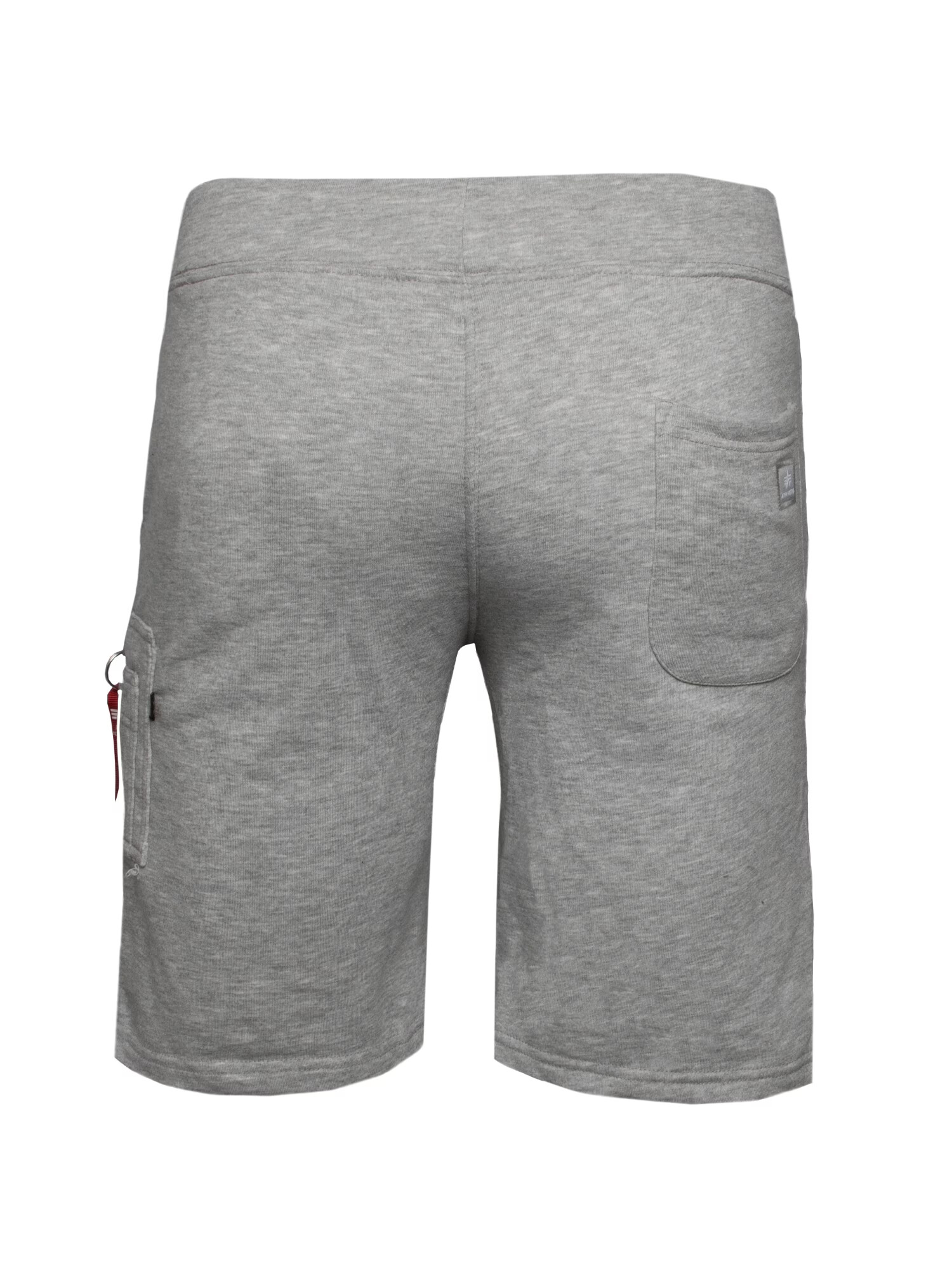 ALPHA INDUSTRIES Pantaloni gri amestecat - Pled.ro