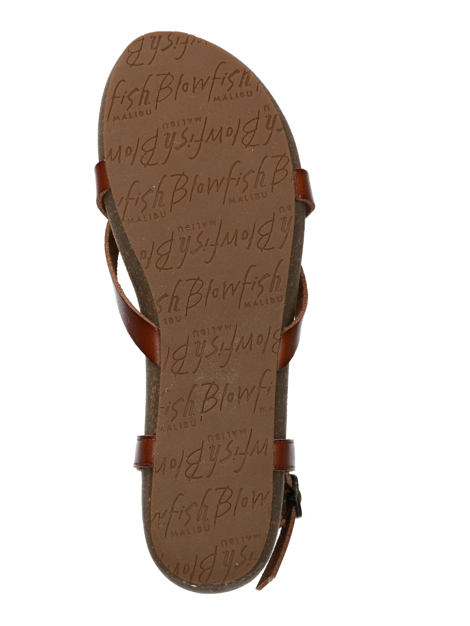 Blowfish Malibu Flip-flops 'GRANOLA-B' maro - Pled.ro