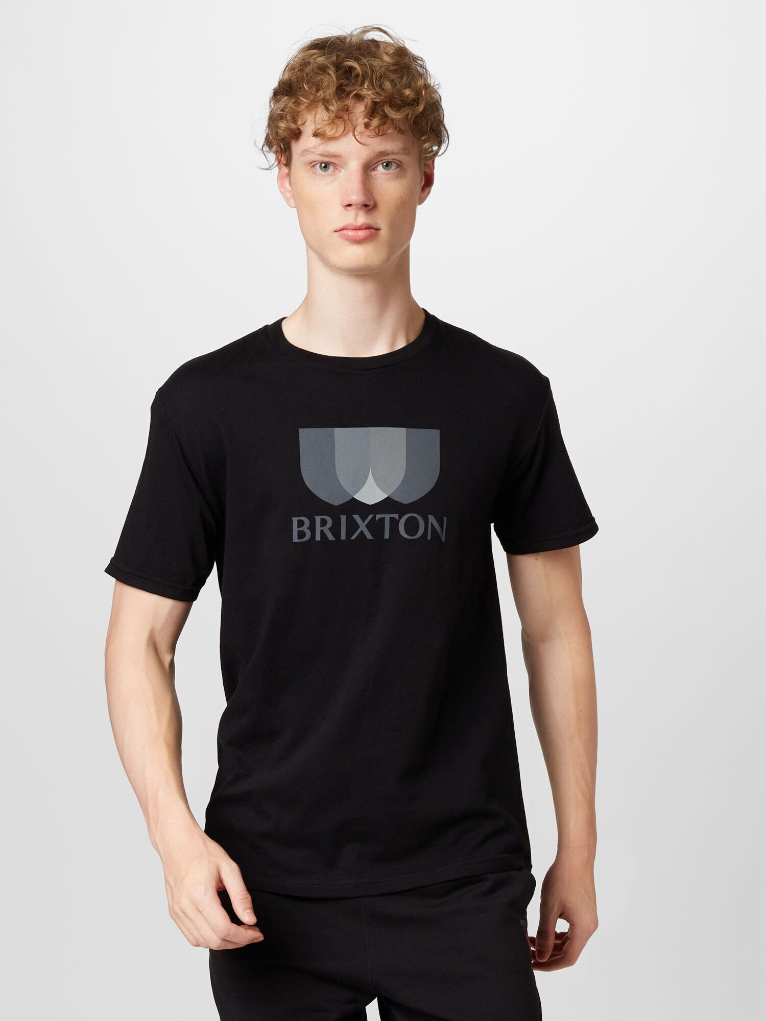 Brixton Tricou 'ALTON' albastru porumbel / albastru pastel / verde mentă / negru - Pled.ro