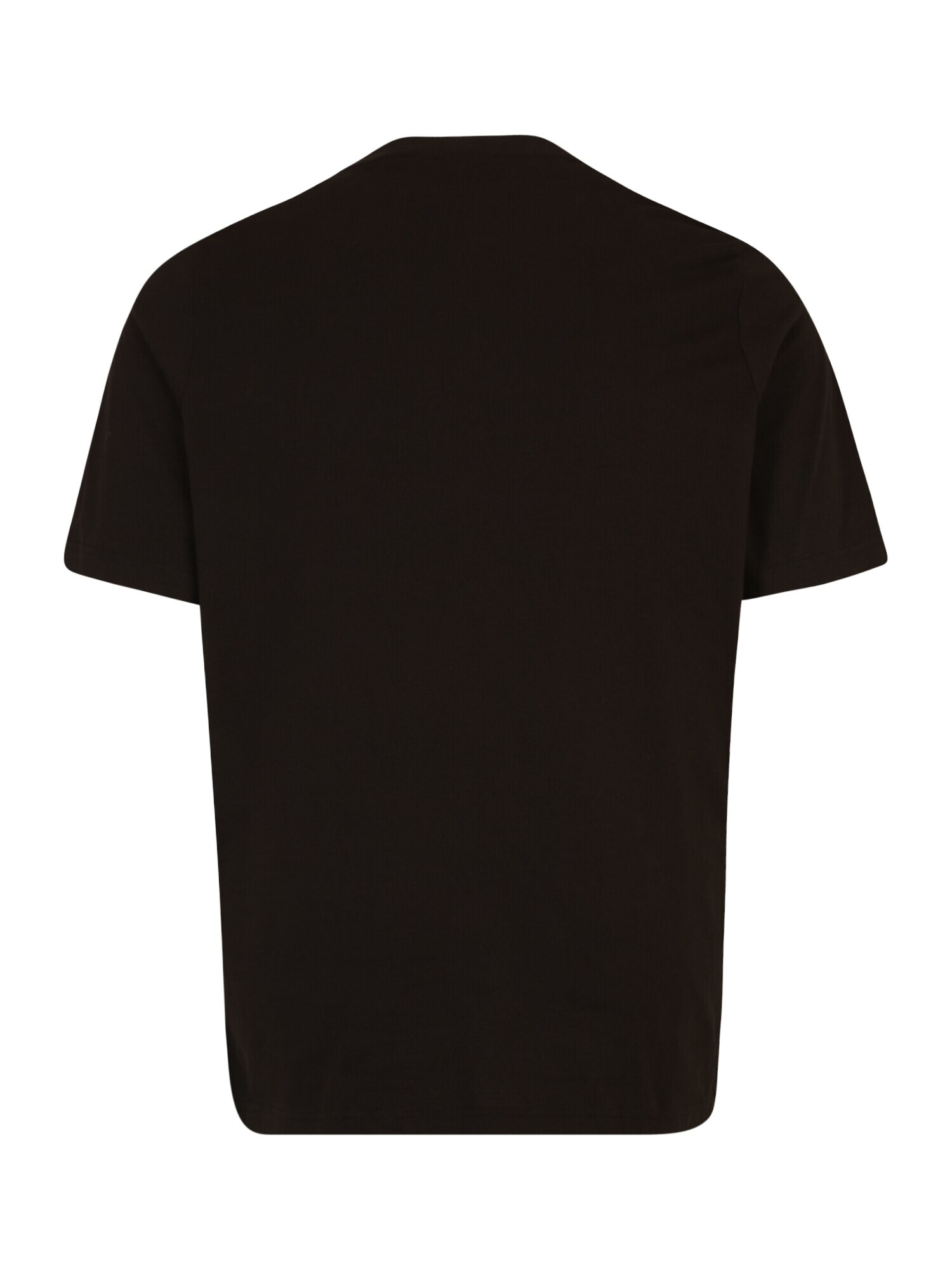 Calvin Klein Big & Tall Tricou bej / gri / negru - Pled.ro