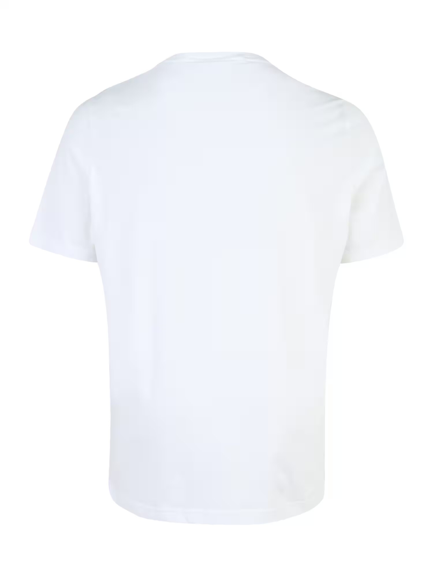 Calvin Klein Big & Tall Tricou maro / alb - Pled.ro