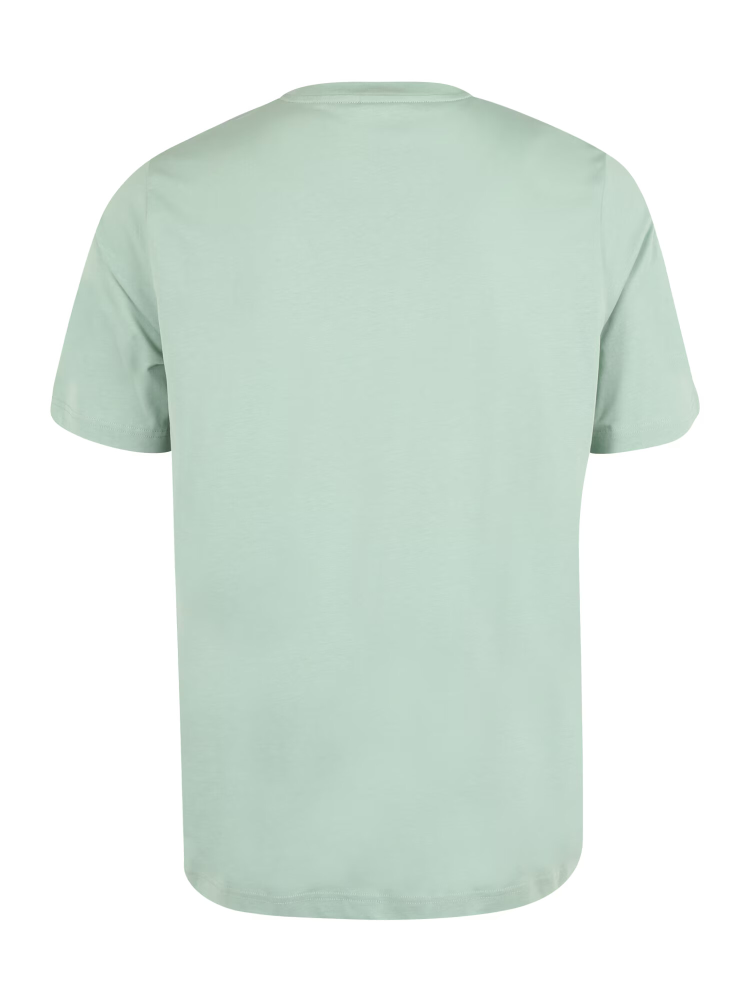 Calvin Klein Big & Tall Tricou verde mentă - Pled.ro