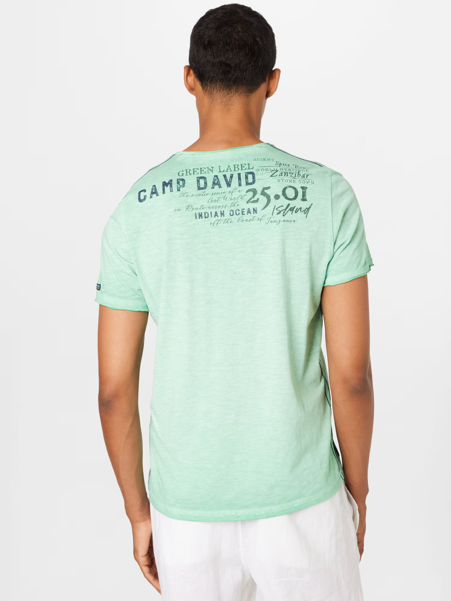 CAMP DAVID Tricou bleumarin / verde mentă - Pled.ro