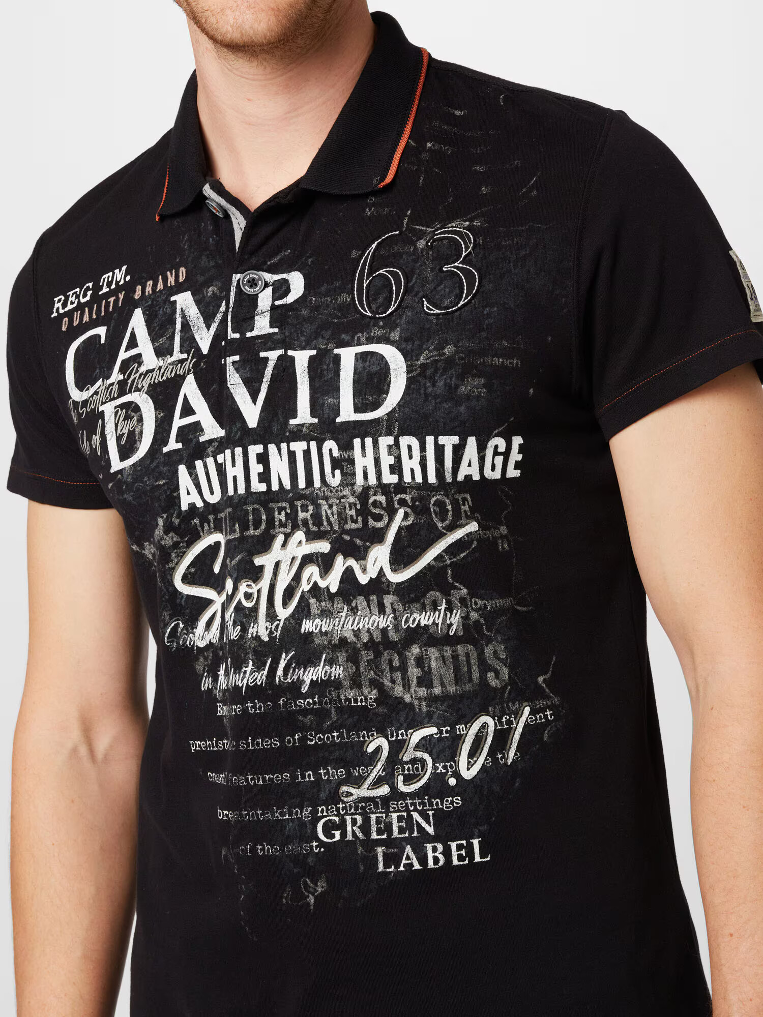 CAMP DAVID Tricou 'Land Of Legends' gri piatră / negru / alb - Pled.ro