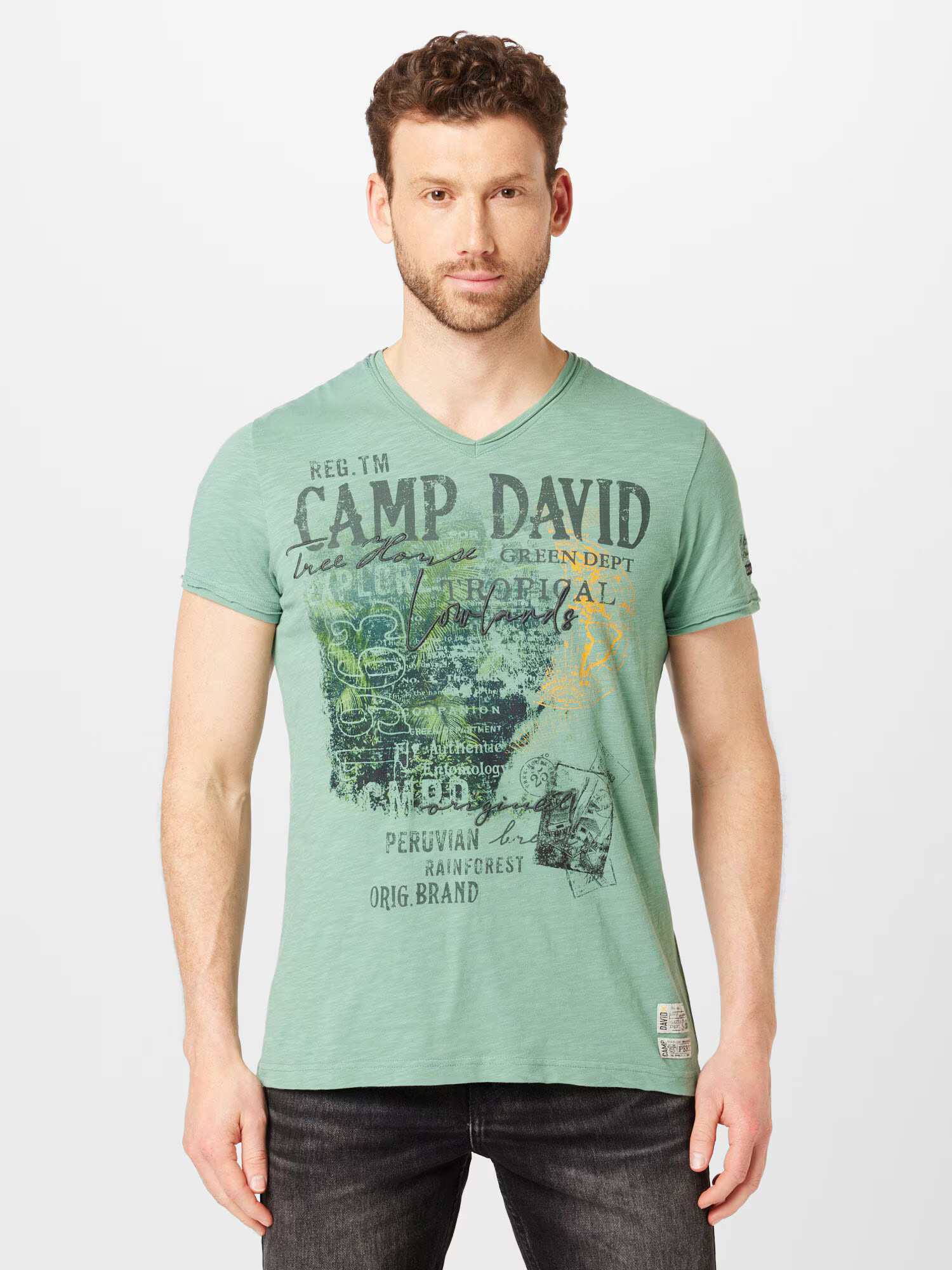 CAMP DAVID Tricou verde pastel / verde închis / portocaliu deschis - Pled.ro