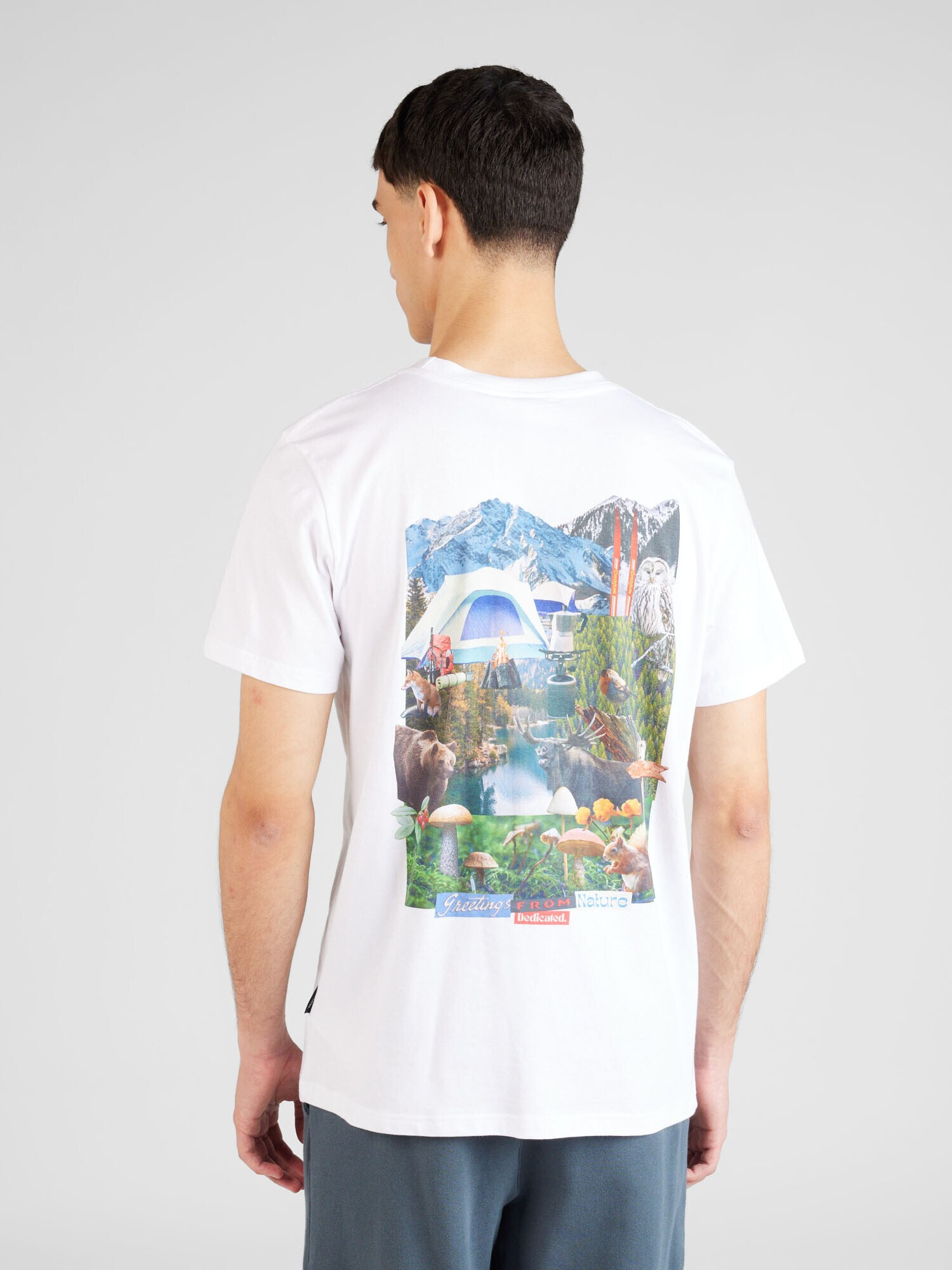 DEDICATED. Tricou 'Stockholm Nature Collage' albastru deschis / gri / verde / alb - Pled.ro