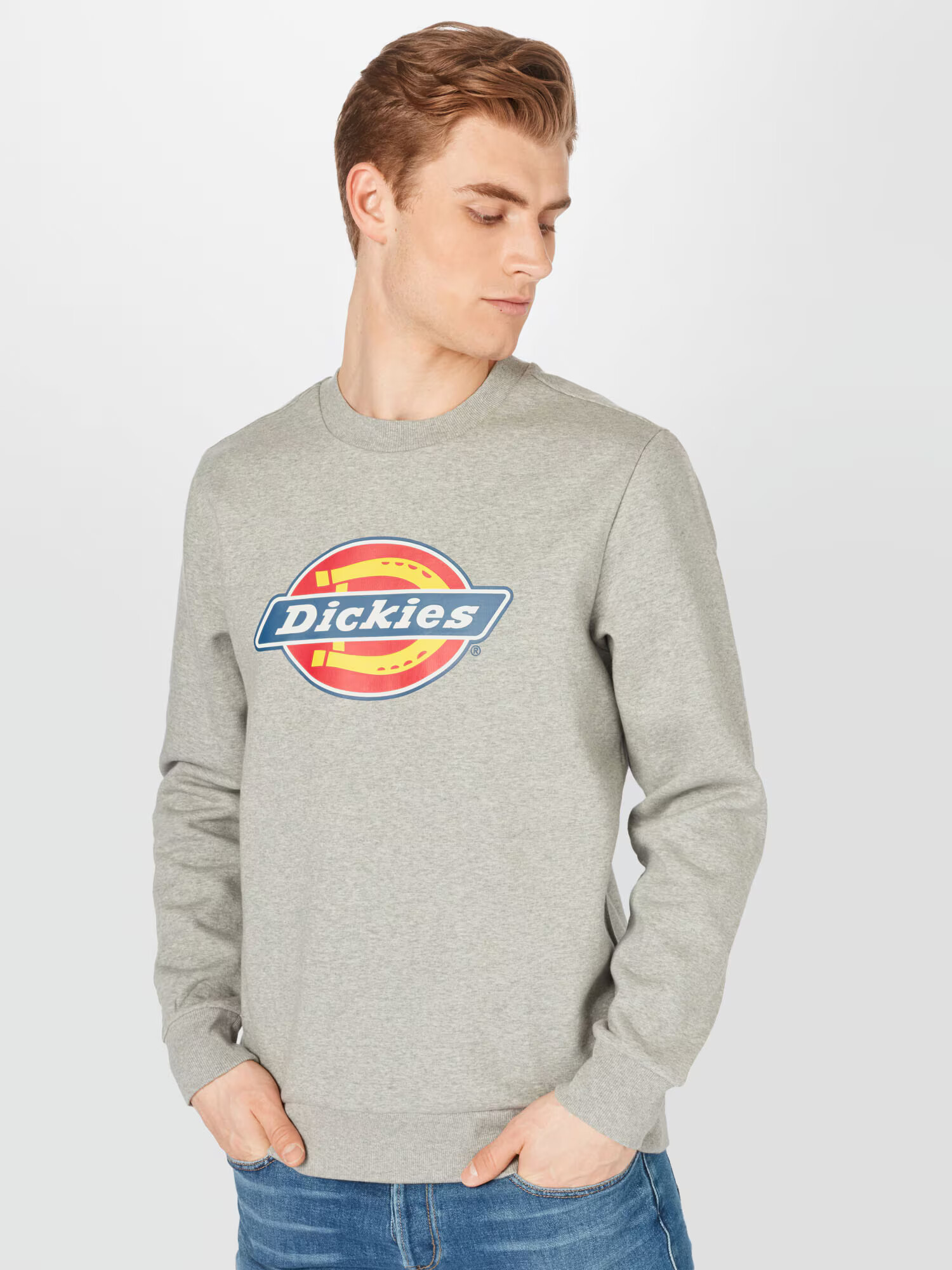 DICKIES Bluză de molton 'Icon Logo' albastru / galben / gri amestecat / roșu / alb - Pled.ro