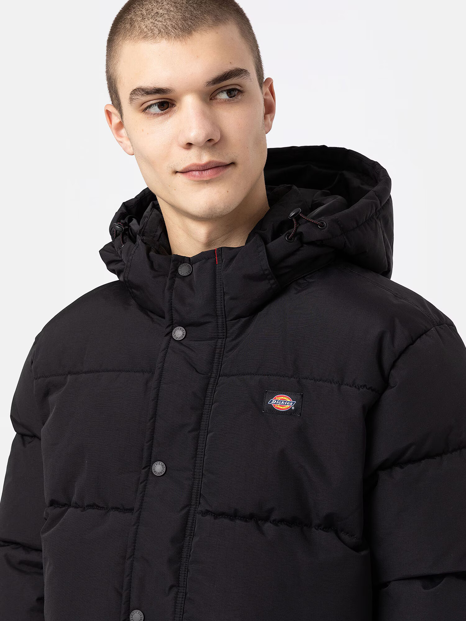 DICKIES Geacă de iarnă 'Glacier' negru - Pled.ro