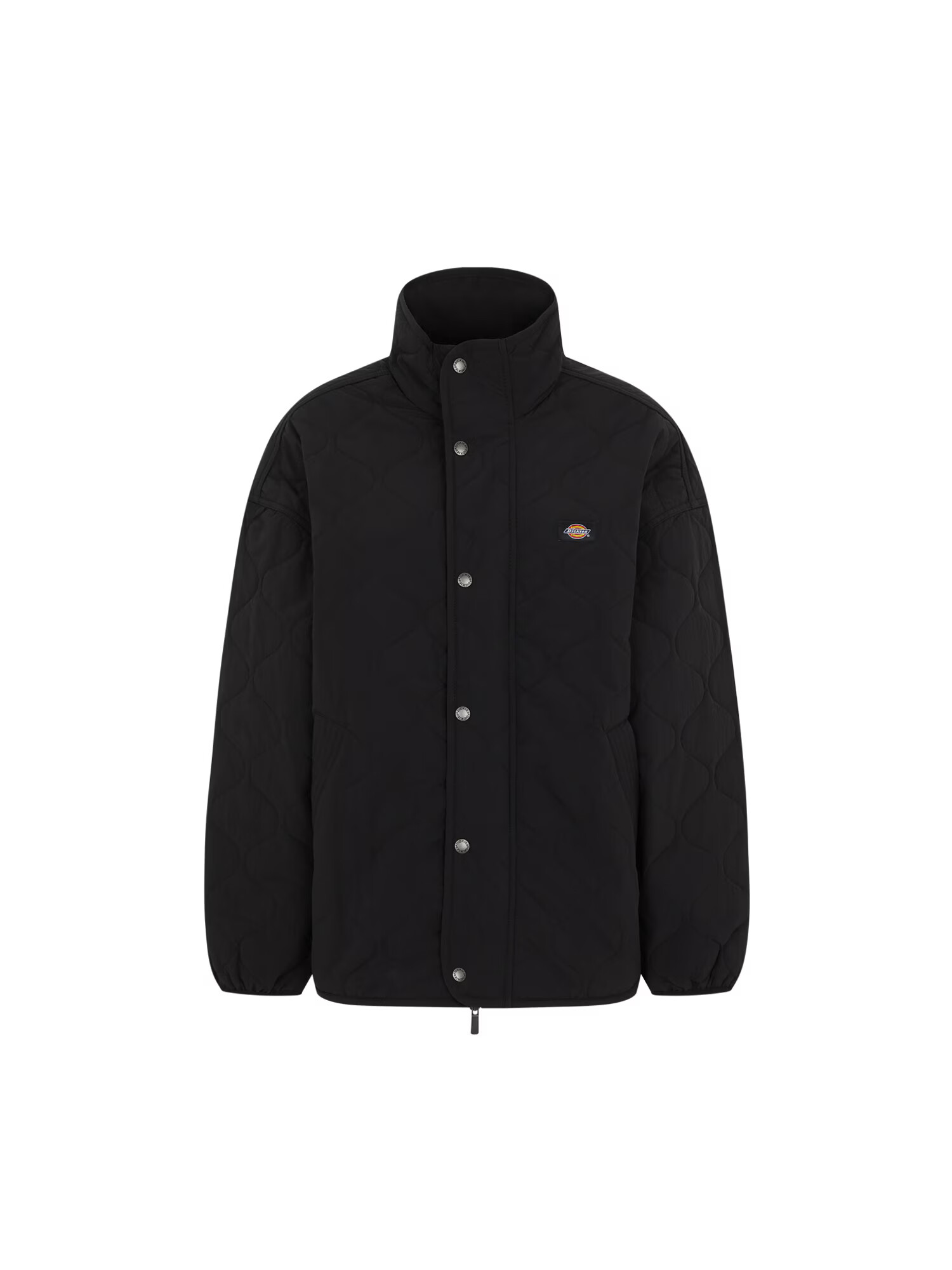 DICKIES Geacă de iarnă 'THORSBY' negru - Pled.ro