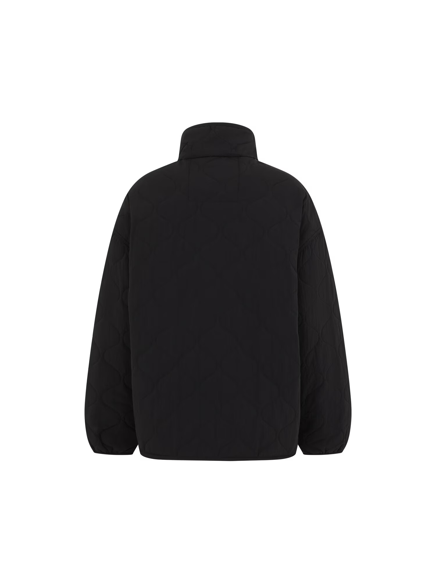 DICKIES Geacă de iarnă 'THORSBY' negru - Pled.ro