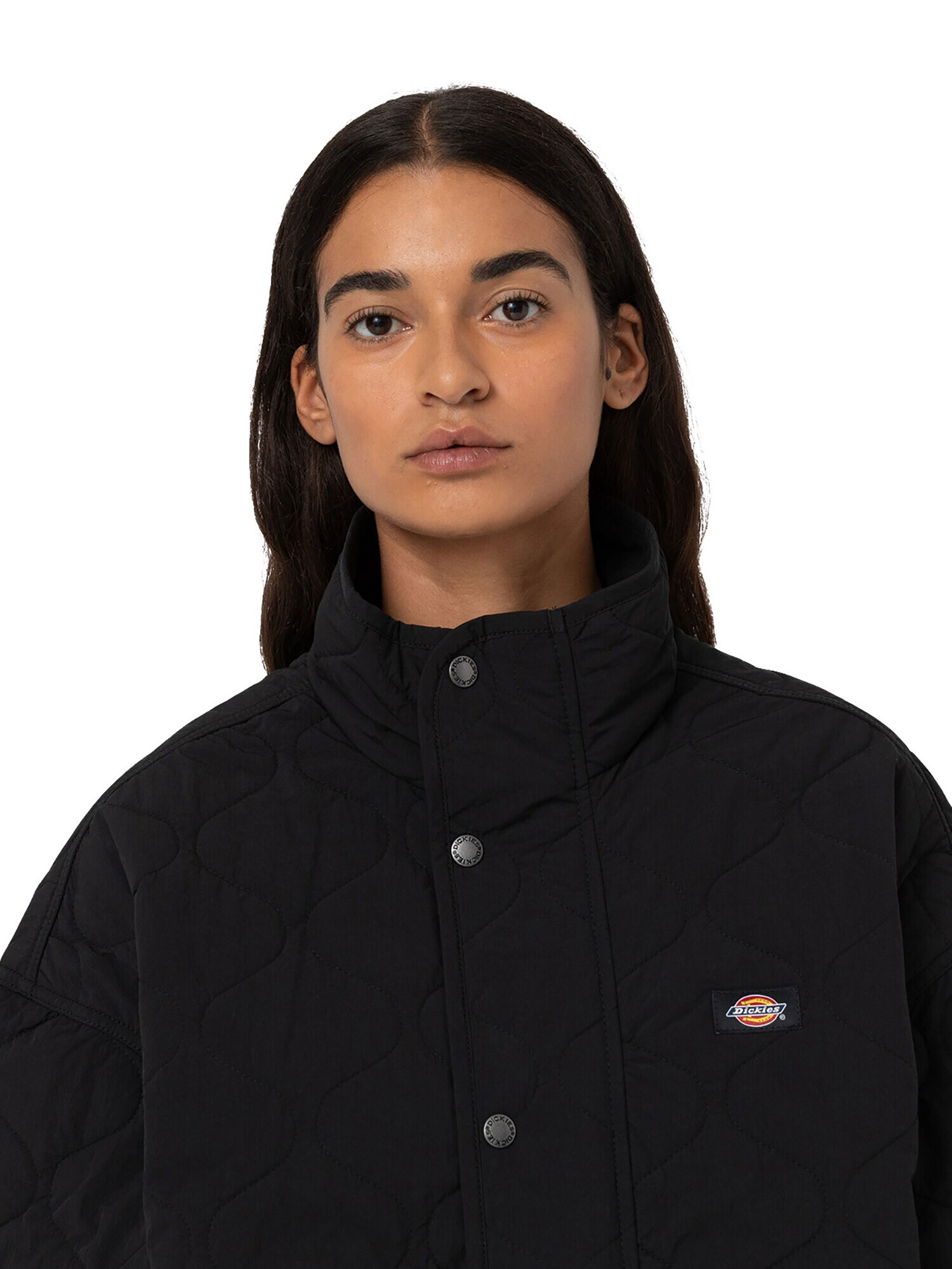 DICKIES Geacă de iarnă 'THORSBY' negru - Pled.ro