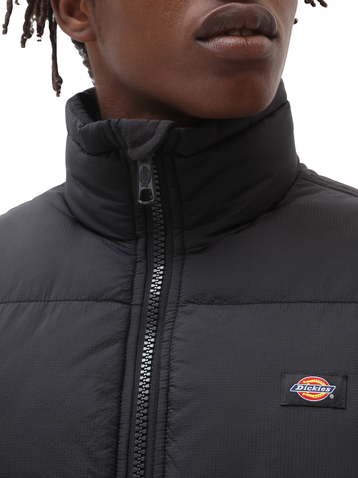 DICKIES Geacă de iarnă 'WALDENBURG' negru - Pled.ro