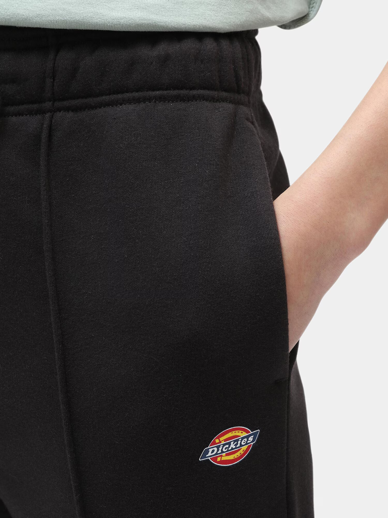 DICKIES Pantaloni negru - Pled.ro