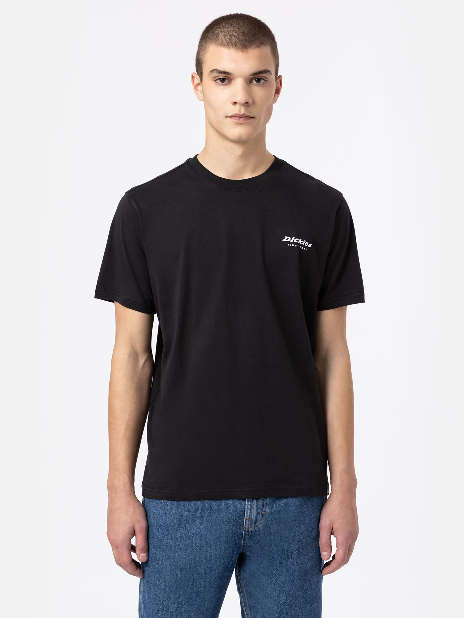 DICKIES Tricou mai multe culori / negru - Pled.ro