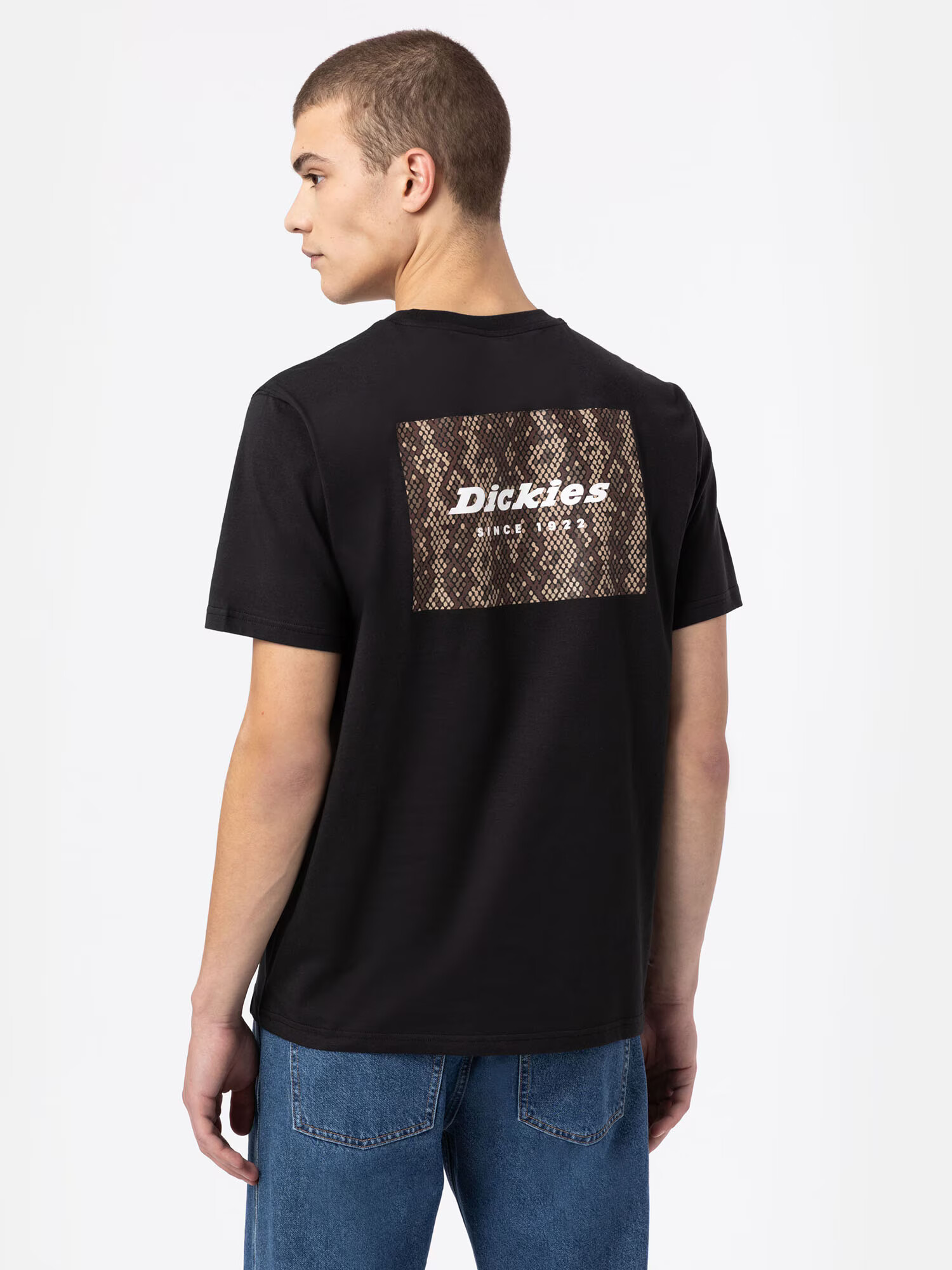 DICKIES Tricou mai multe culori / negru - Pled.ro