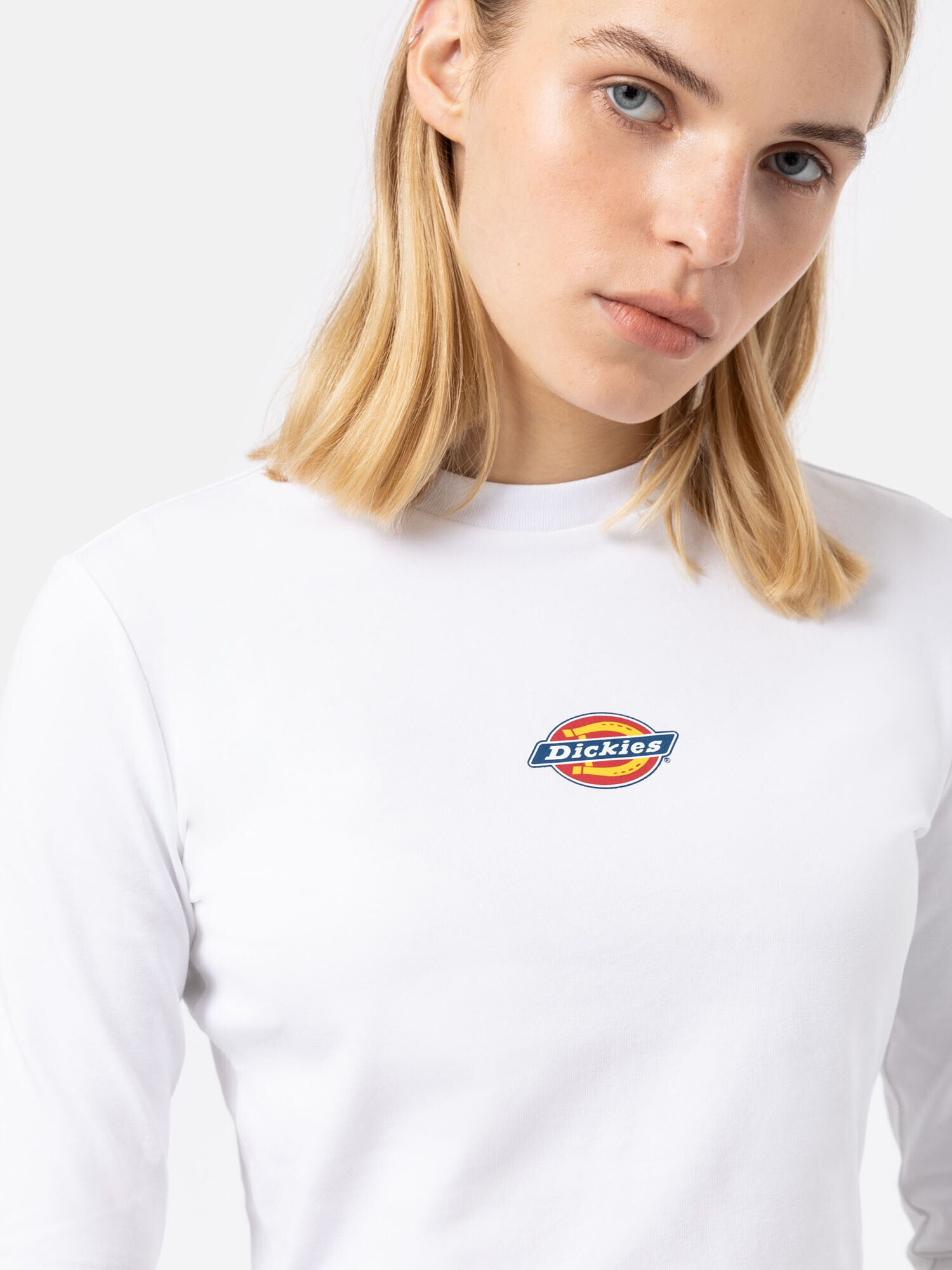 DICKIES Tricou 'MAPLE VALLEY' albastru / galben / roșu / alb - Pled.ro