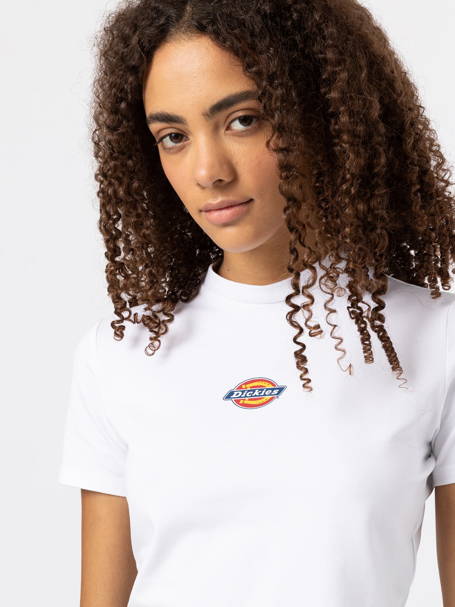 DICKIES Tricou 'MAPLE VALLEY' albastru închis / galben / roșu / alb - Pled.ro