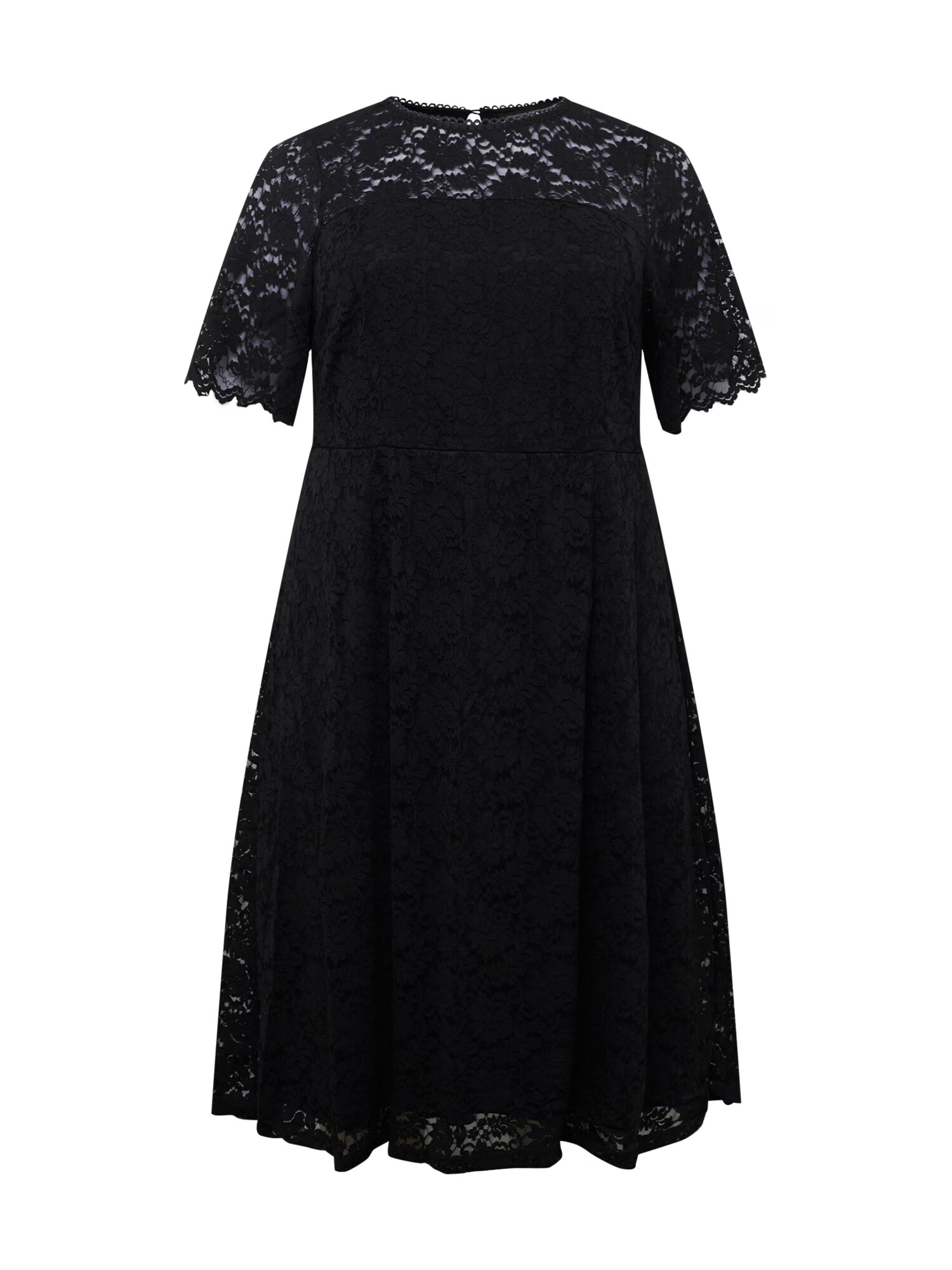 Dorothy Perkins Curve Rochie de cocktail negru - Pled.ro