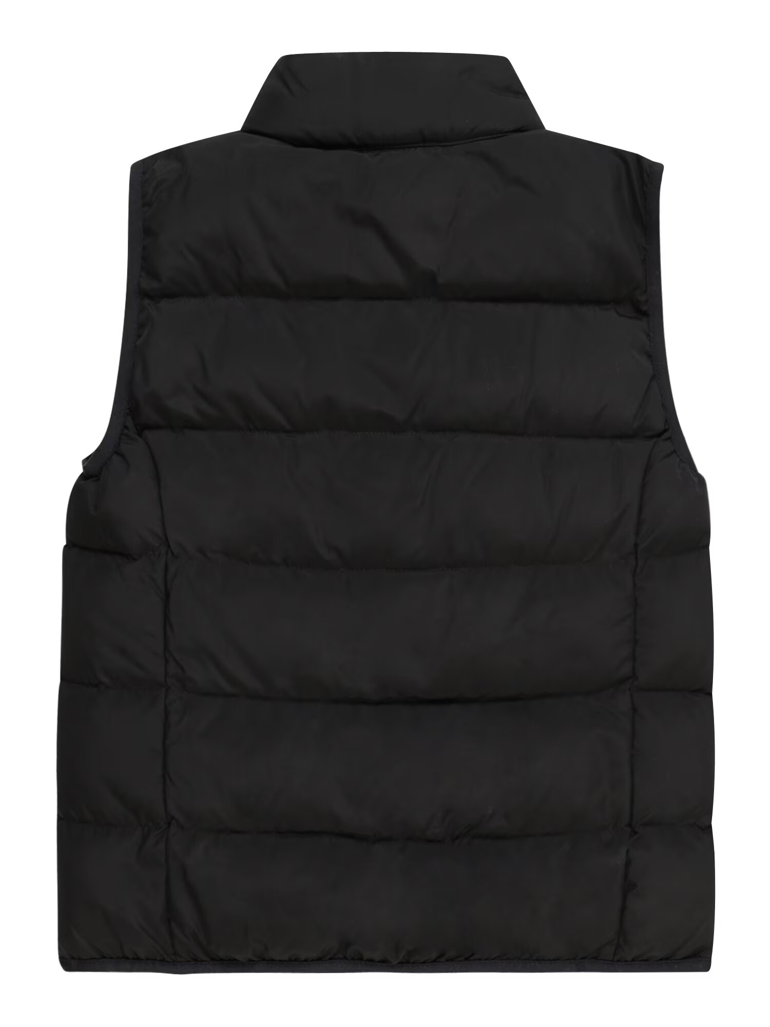 EA7 Emporio Armani Vestă bej / negru - Pled.ro