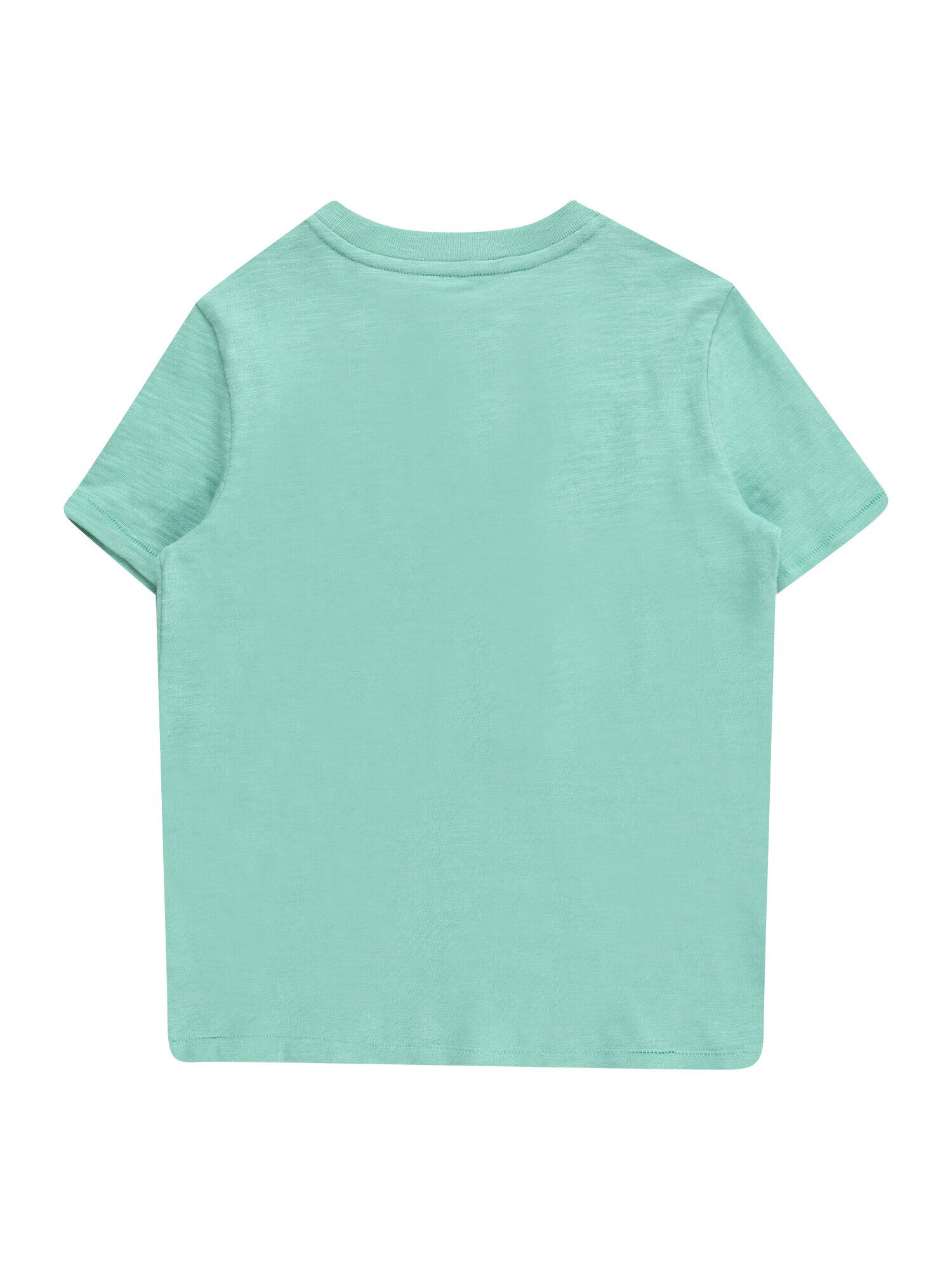 GAP Tricou 'FRAN' verde / verde mentă - Pled.ro