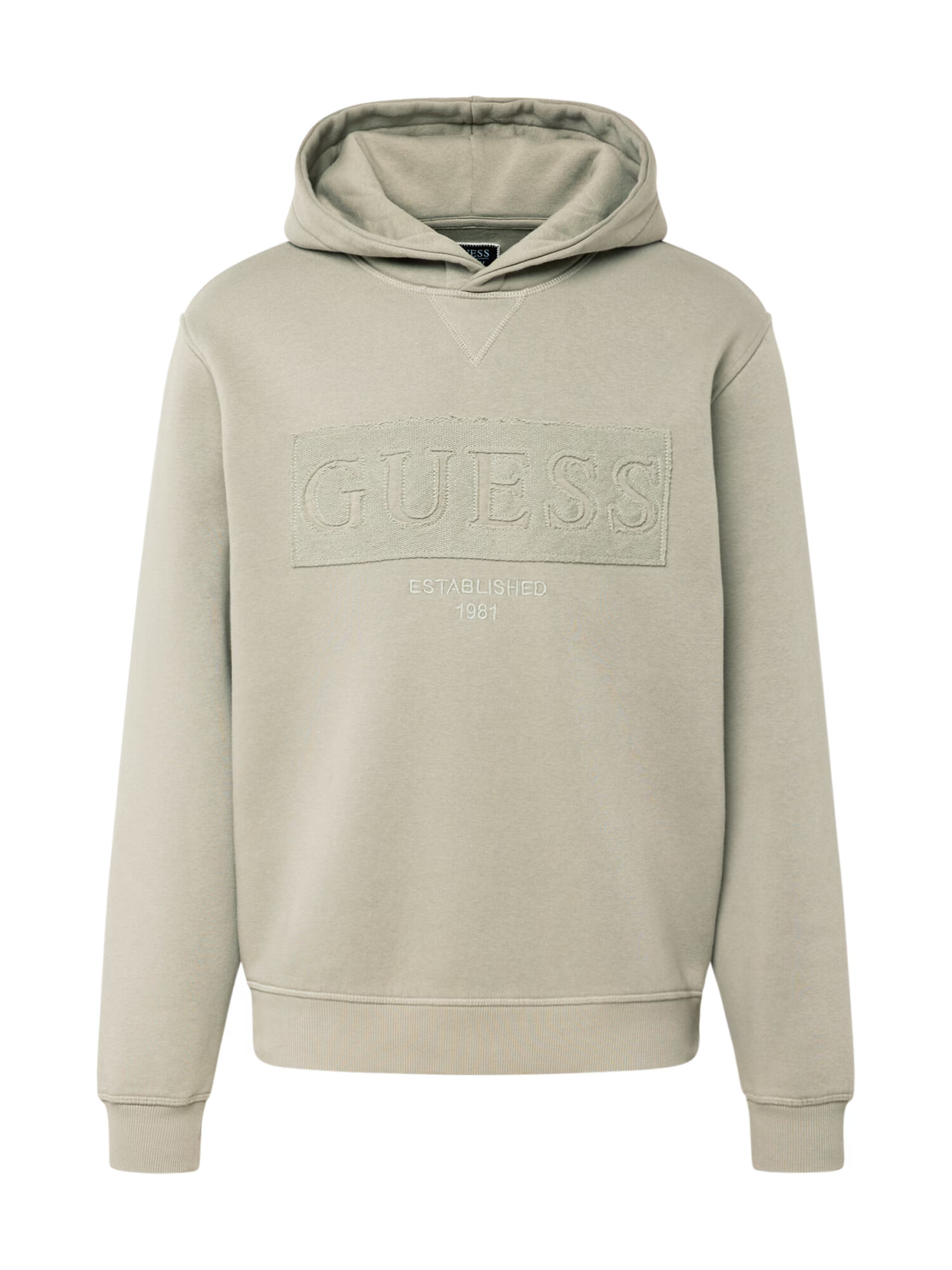 GUESS Bluză de molton 'BEAU' verde pastel - Pled.ro