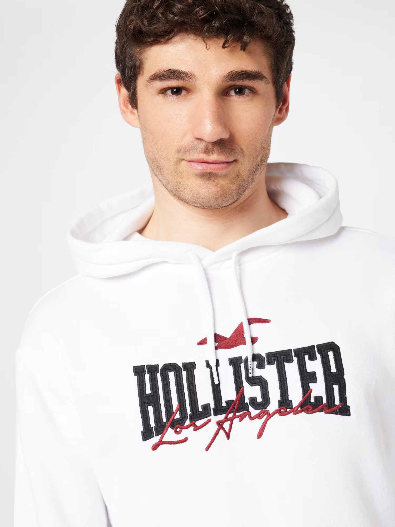 HOLLISTER Bluză de molton sângeriu / negru / alb - Pled.ro