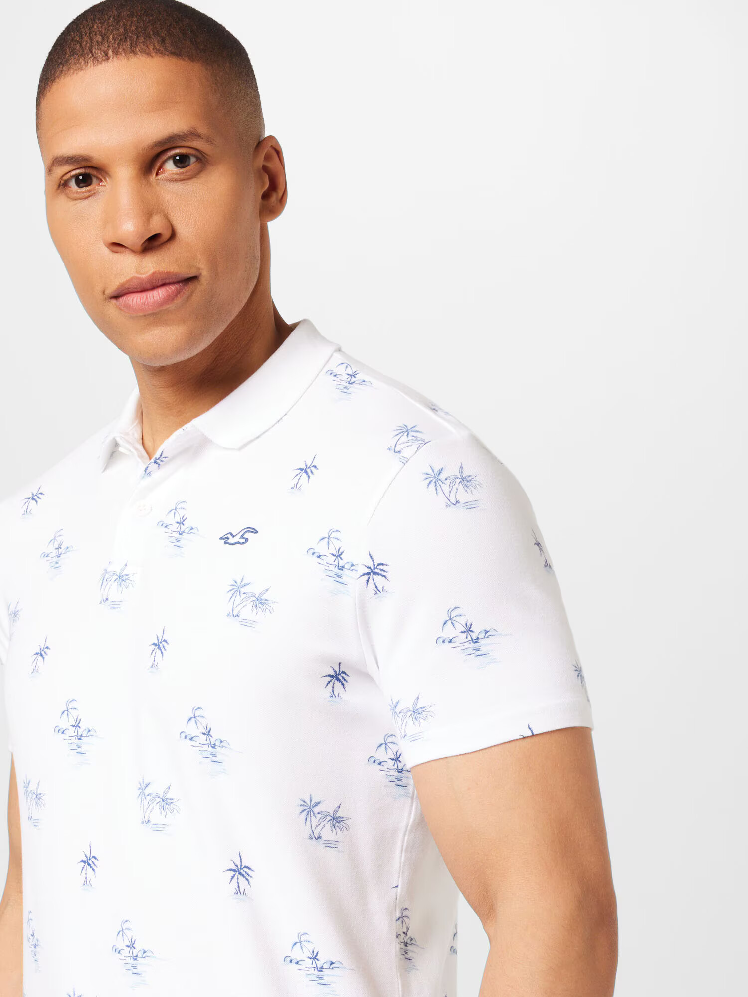 HOLLISTER Tricou albastru / alb - Pled.ro