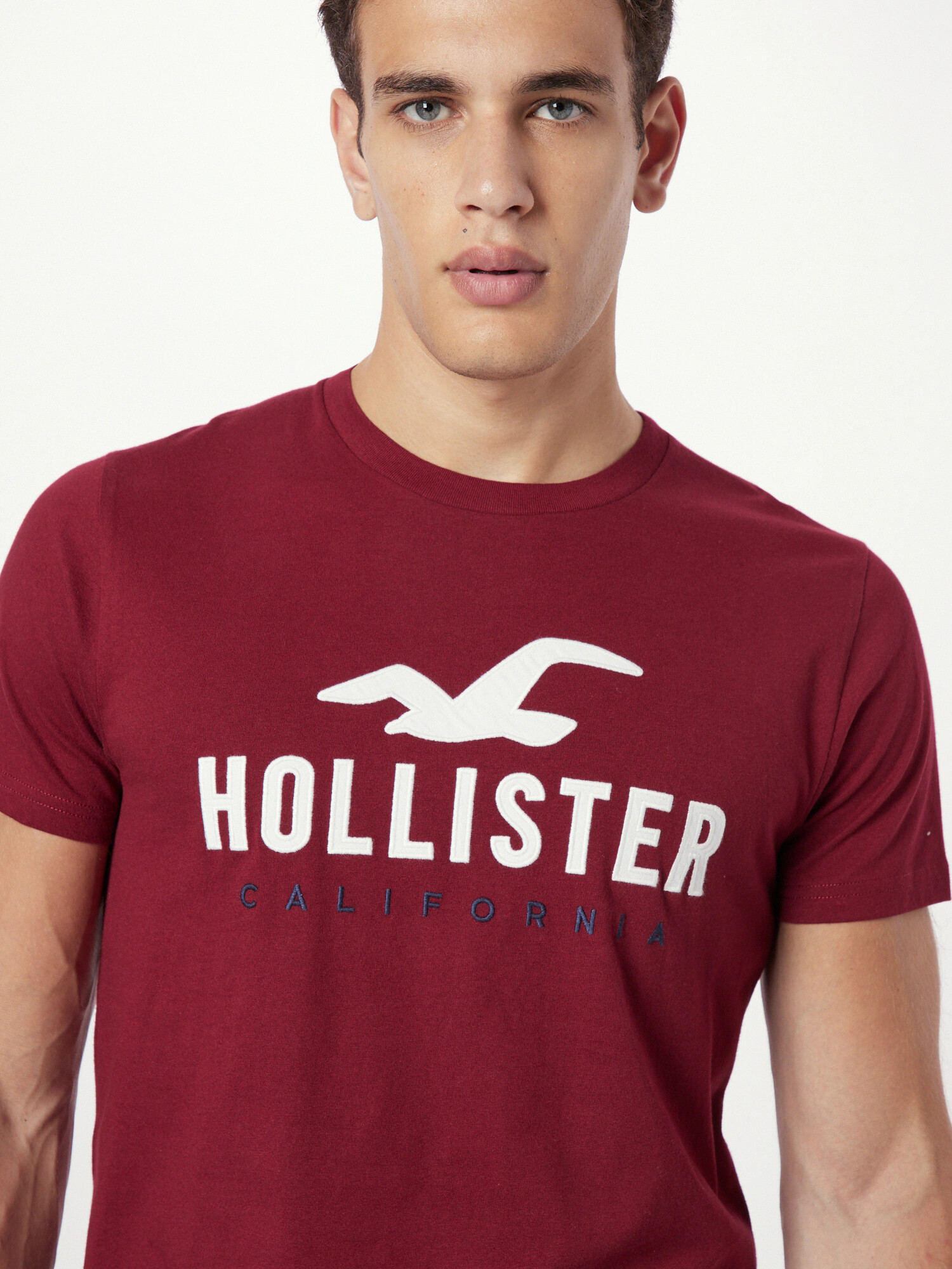 HOLLISTER Tricou albastru închis / gri deschis / roșu vin / alb - Pled.ro