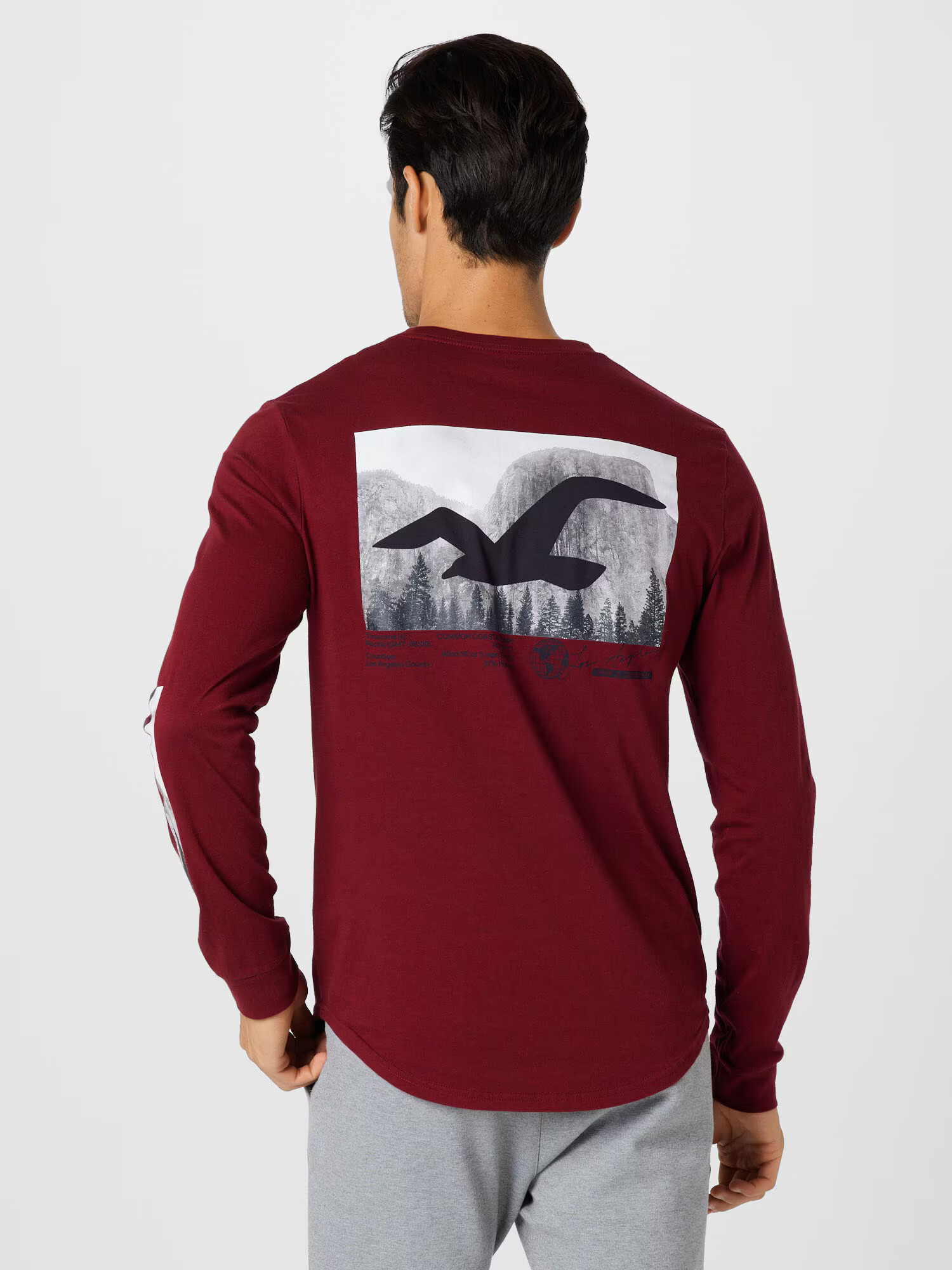 HOLLISTER Tricou albastru porumbel / gri bazalt / gri deschis / roșu burgundy / negru - Pled.ro