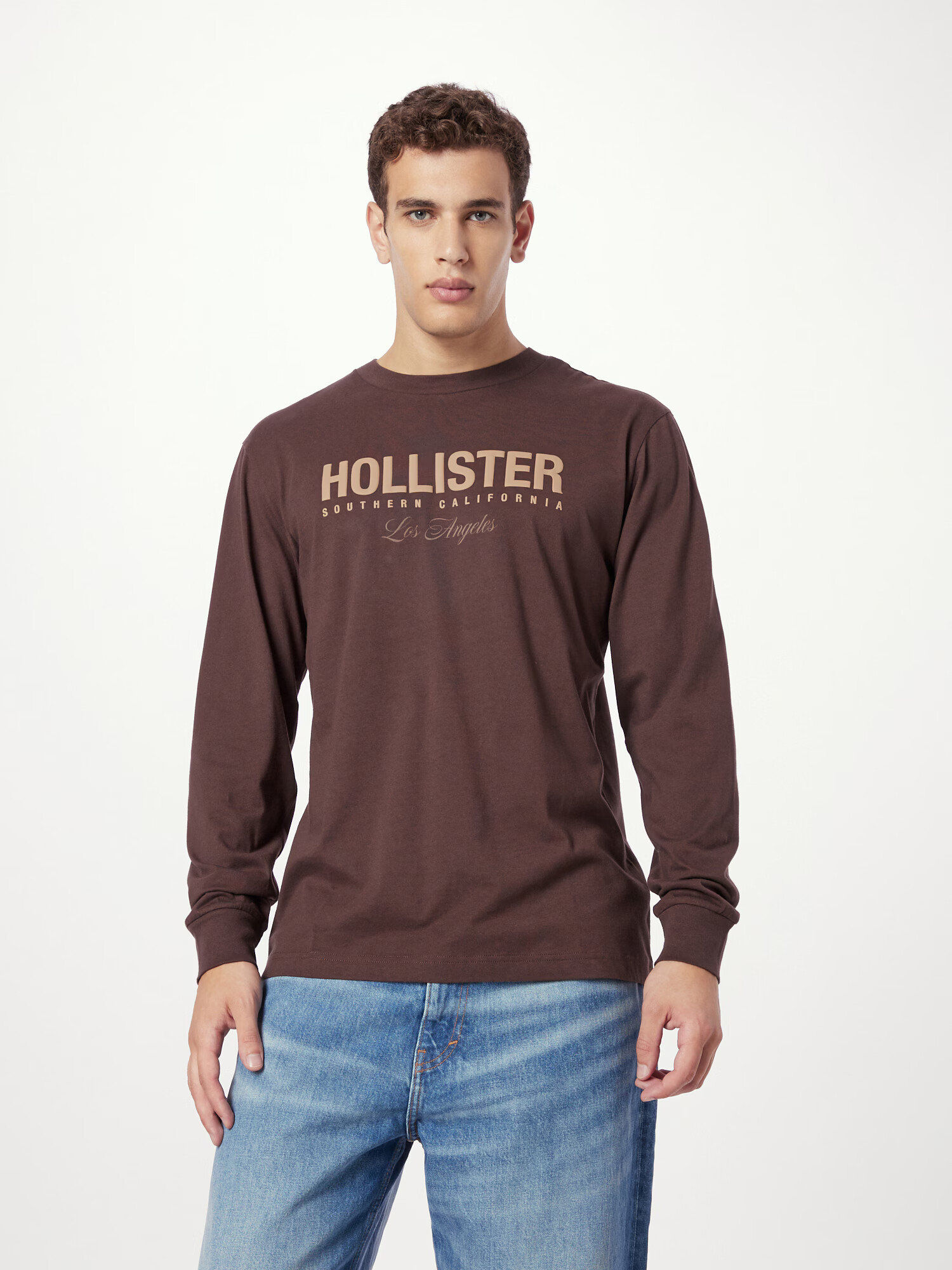 HOLLISTER Tricou 'APAC' maro / maro deschis - Pled.ro