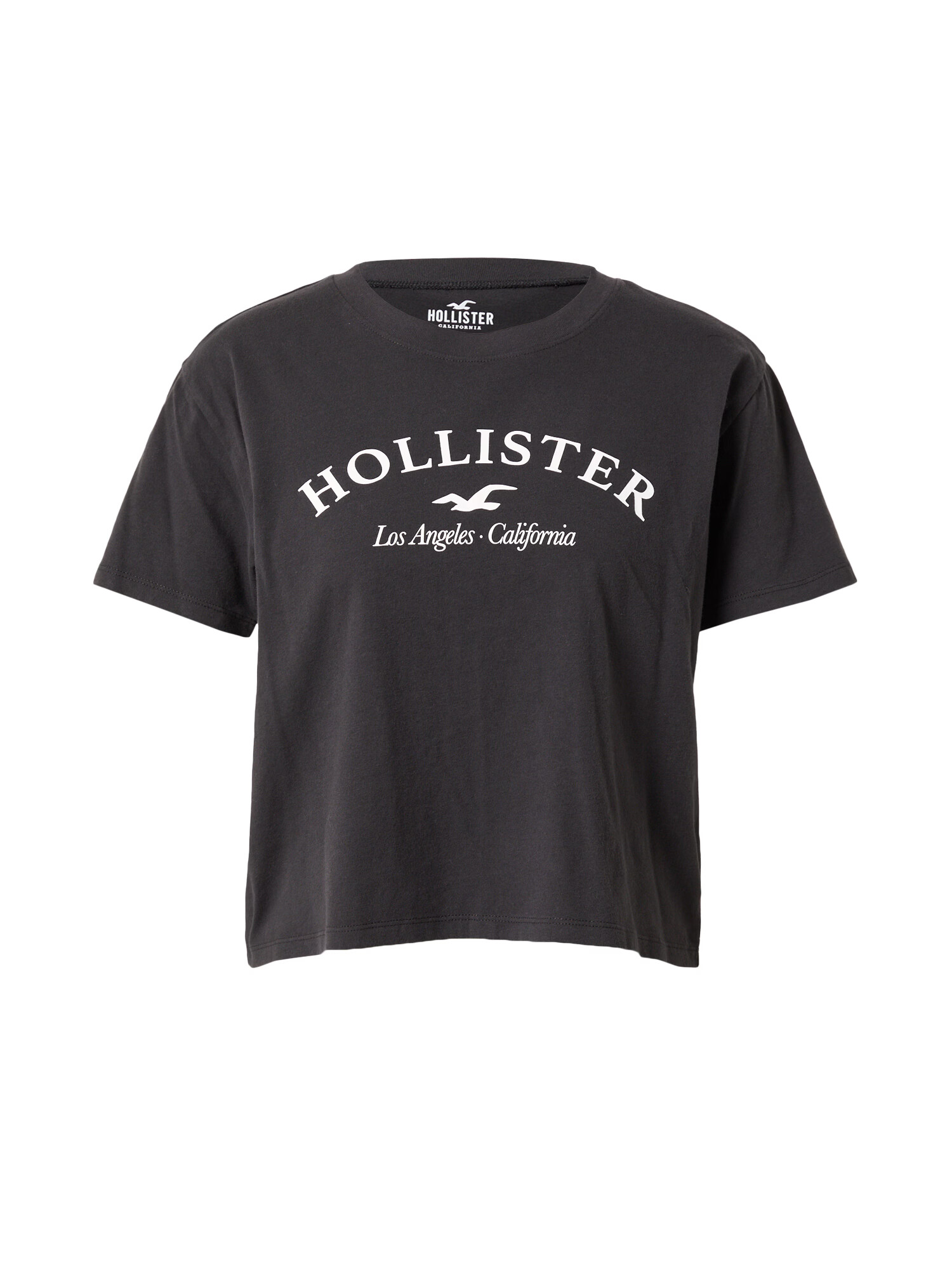 HOLLISTER Tricou gri metalic / alb - Pled.ro