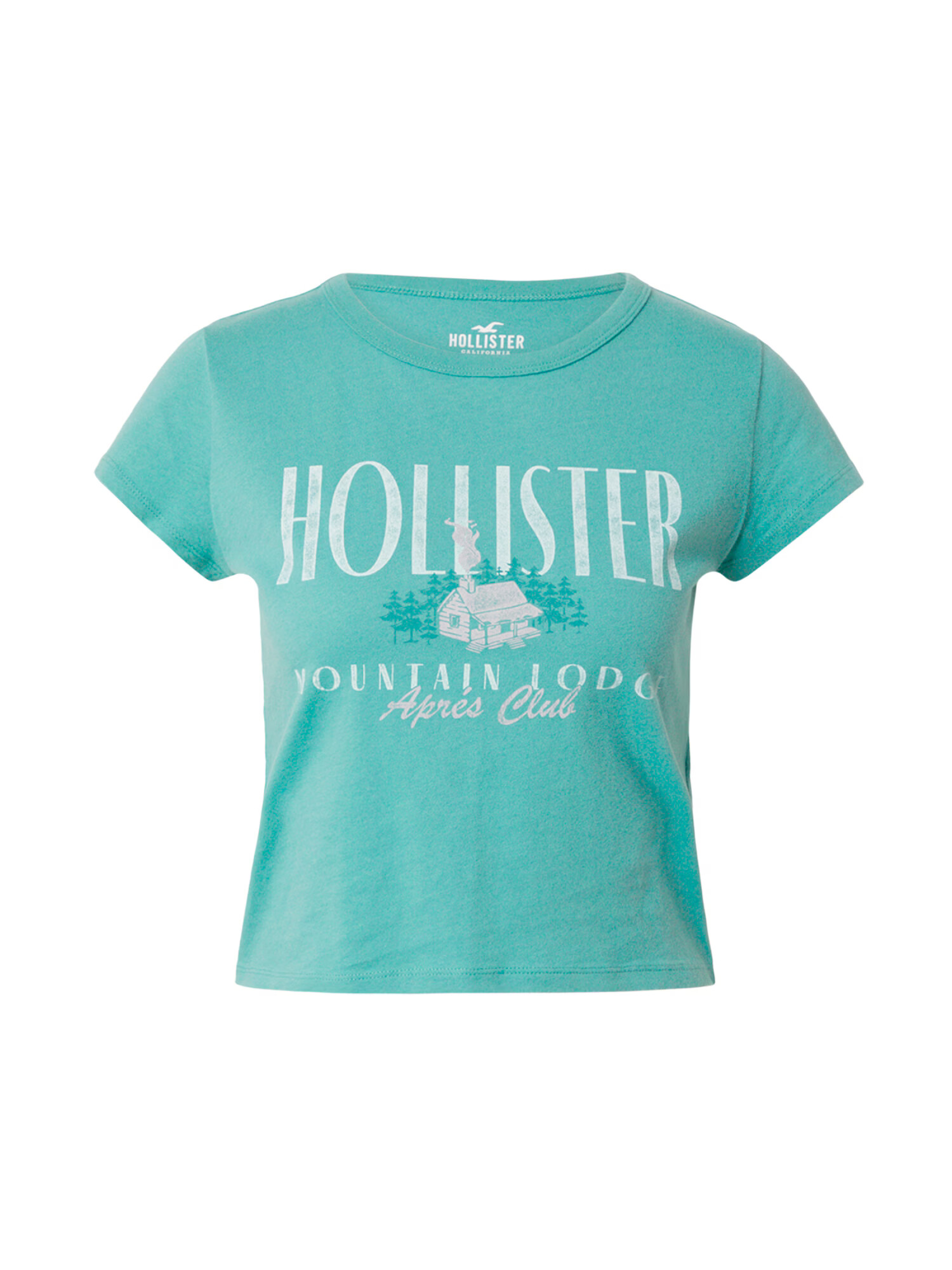 HOLLISTER Tricou verde mentă / alb - Pled.ro