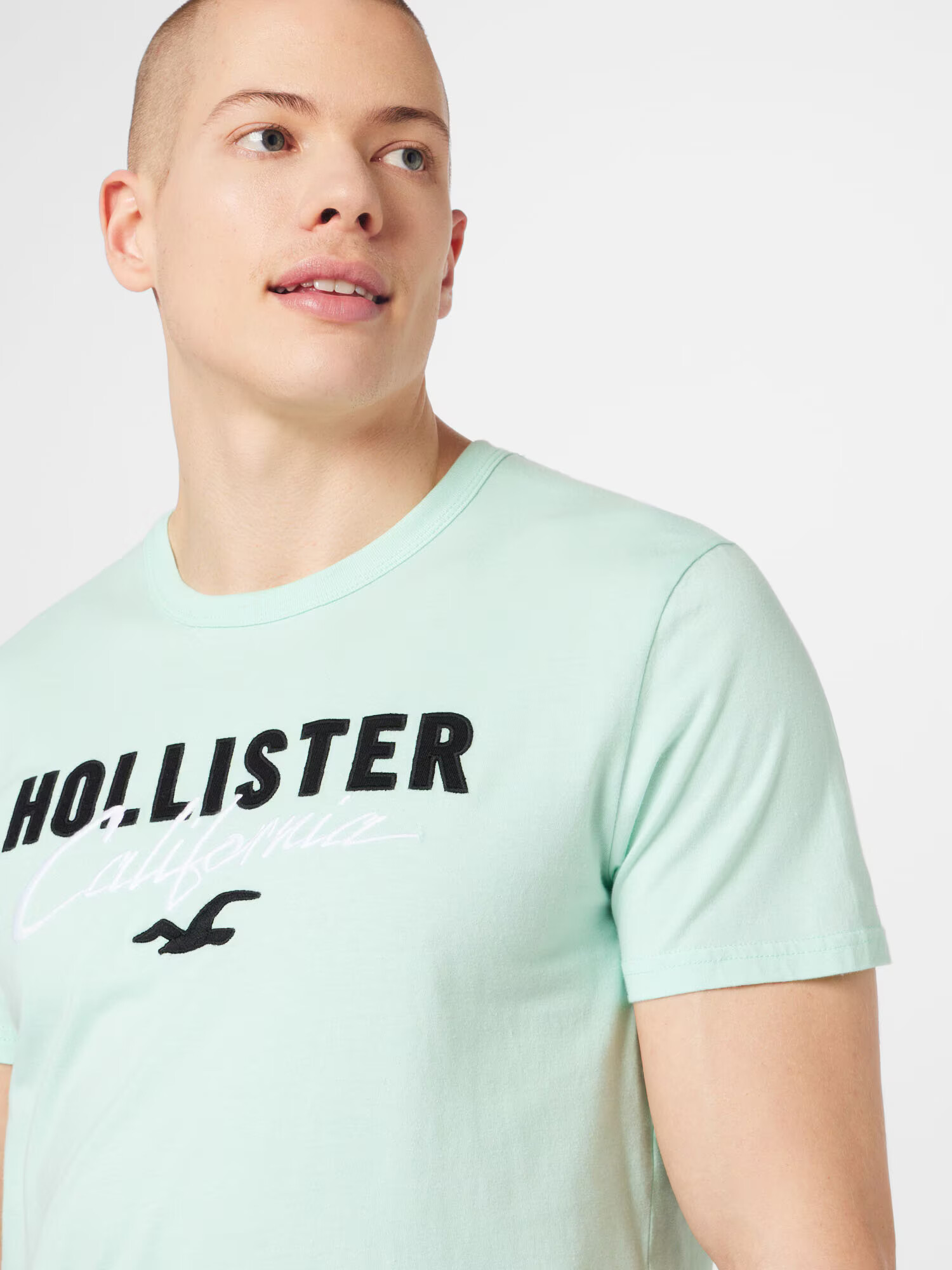 HOLLISTER Tricou verde mentă / negru / alb - Pled.ro