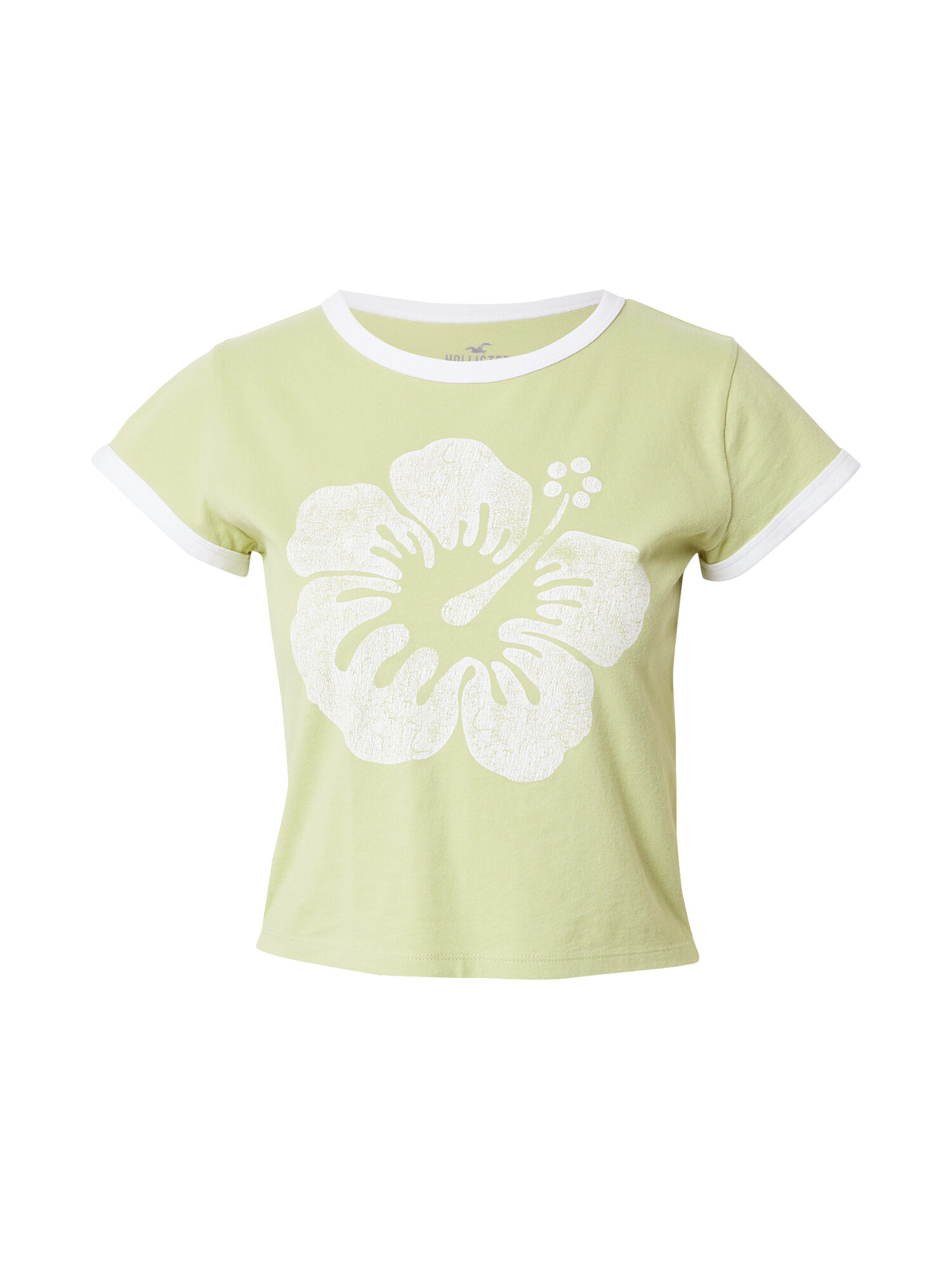 HOLLISTER Tricou verde pastel / alb - Pled.ro